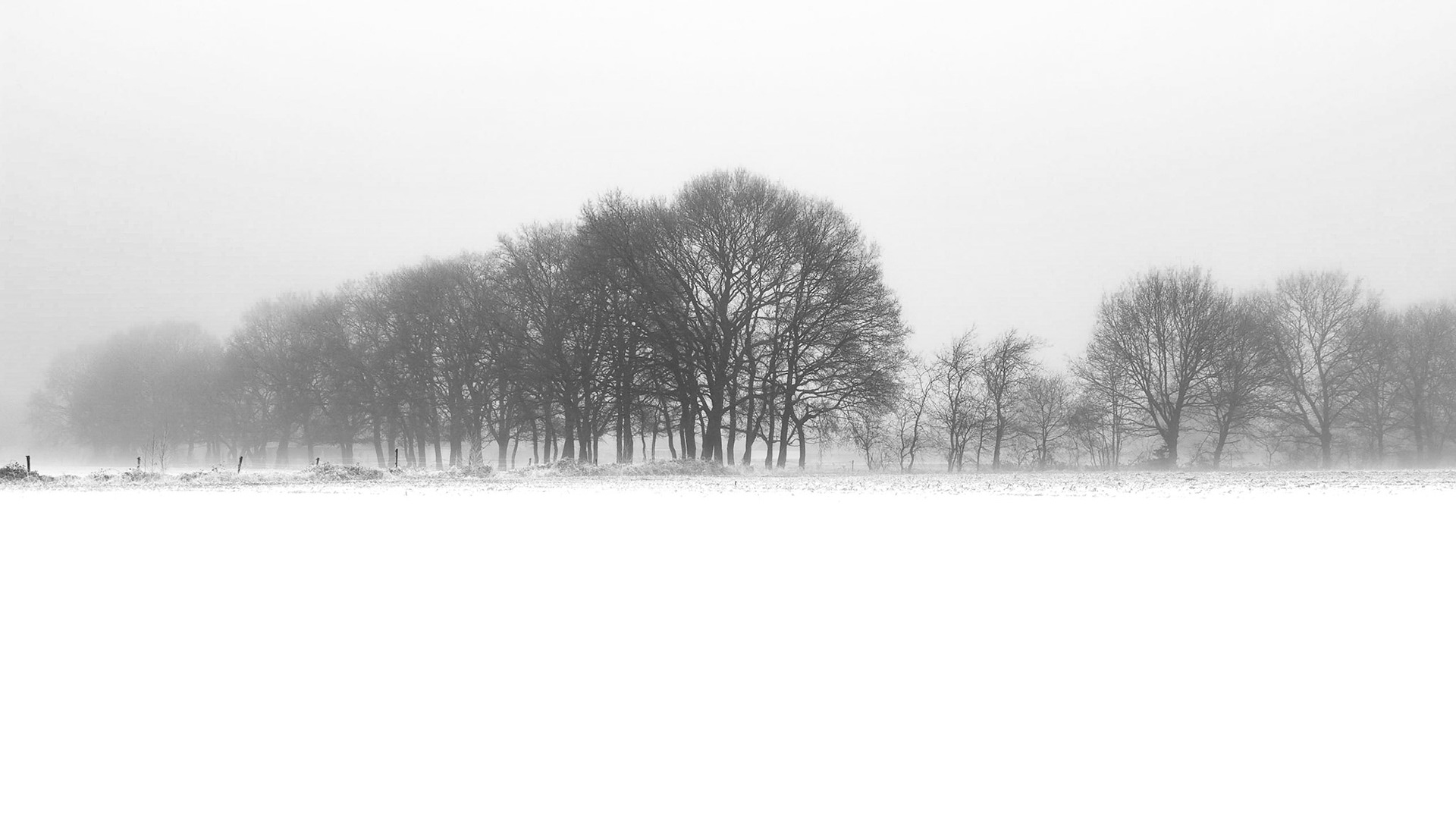 Winterlandschap