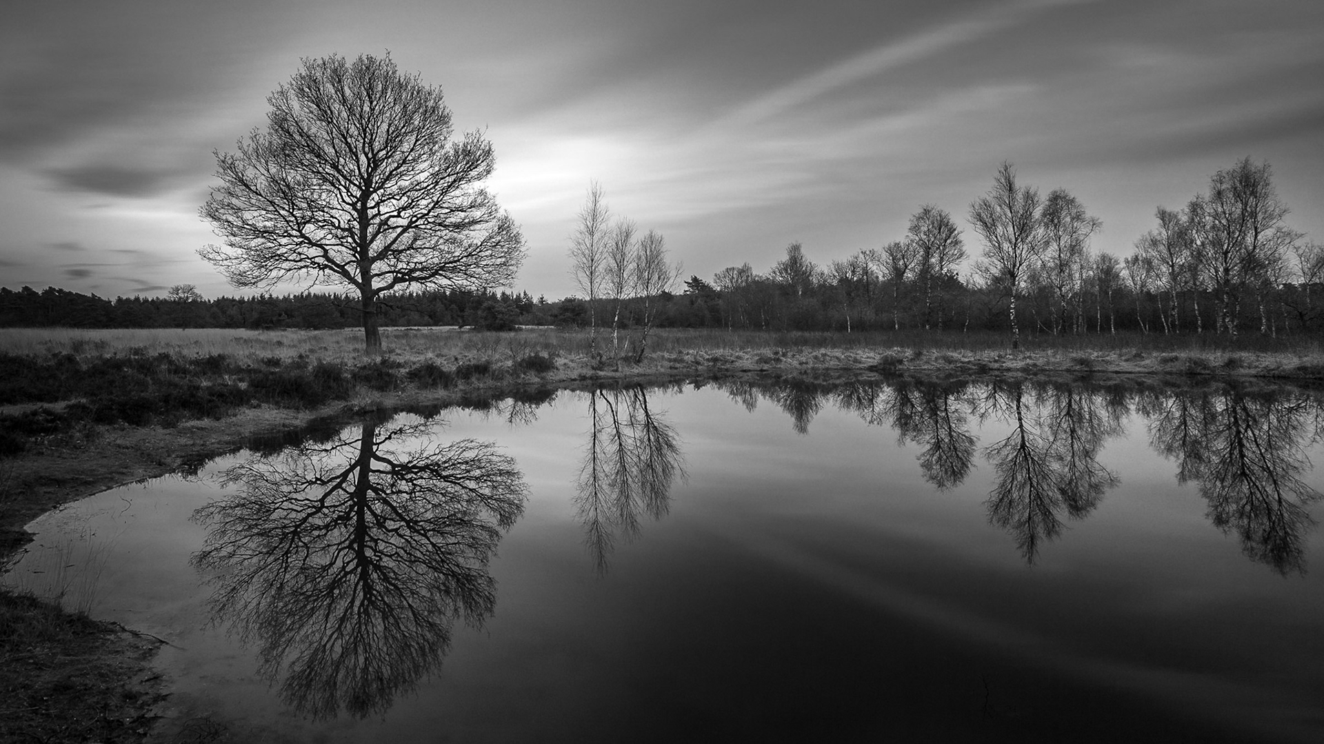 Ven van de Hapertse Heide of Cartierheide