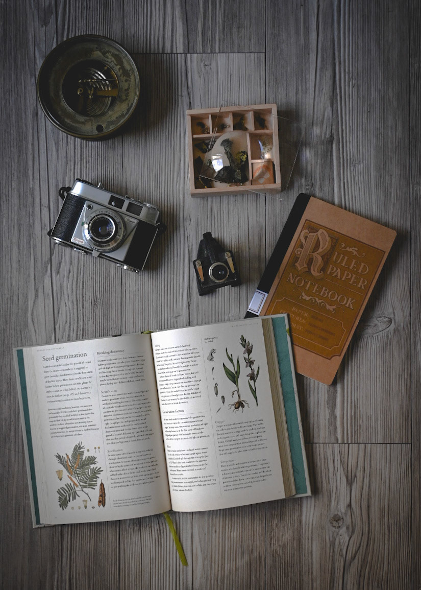 Photo Styling - Botanical Vintage collection