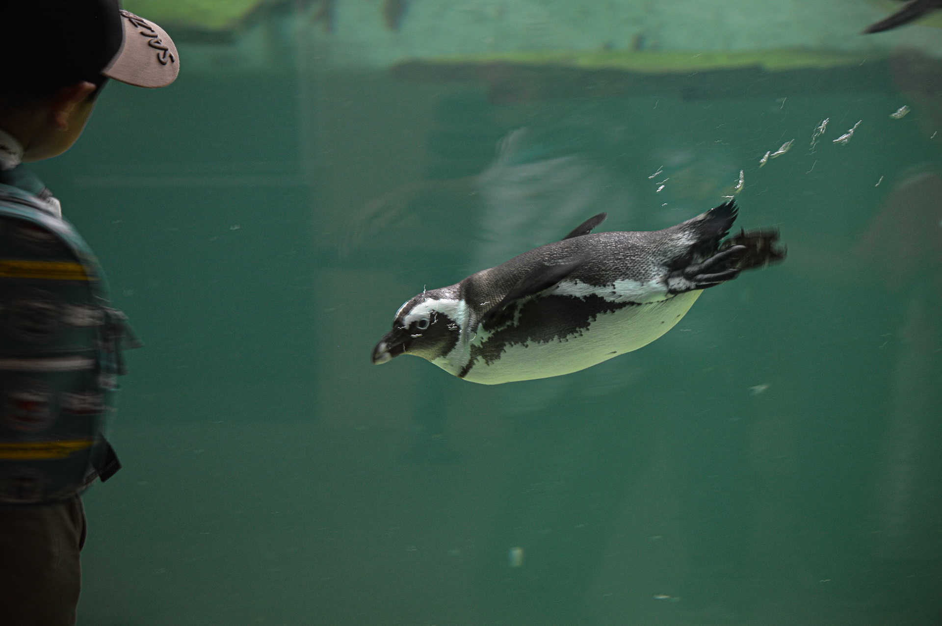 TROPIQUARIUM DE SERVION