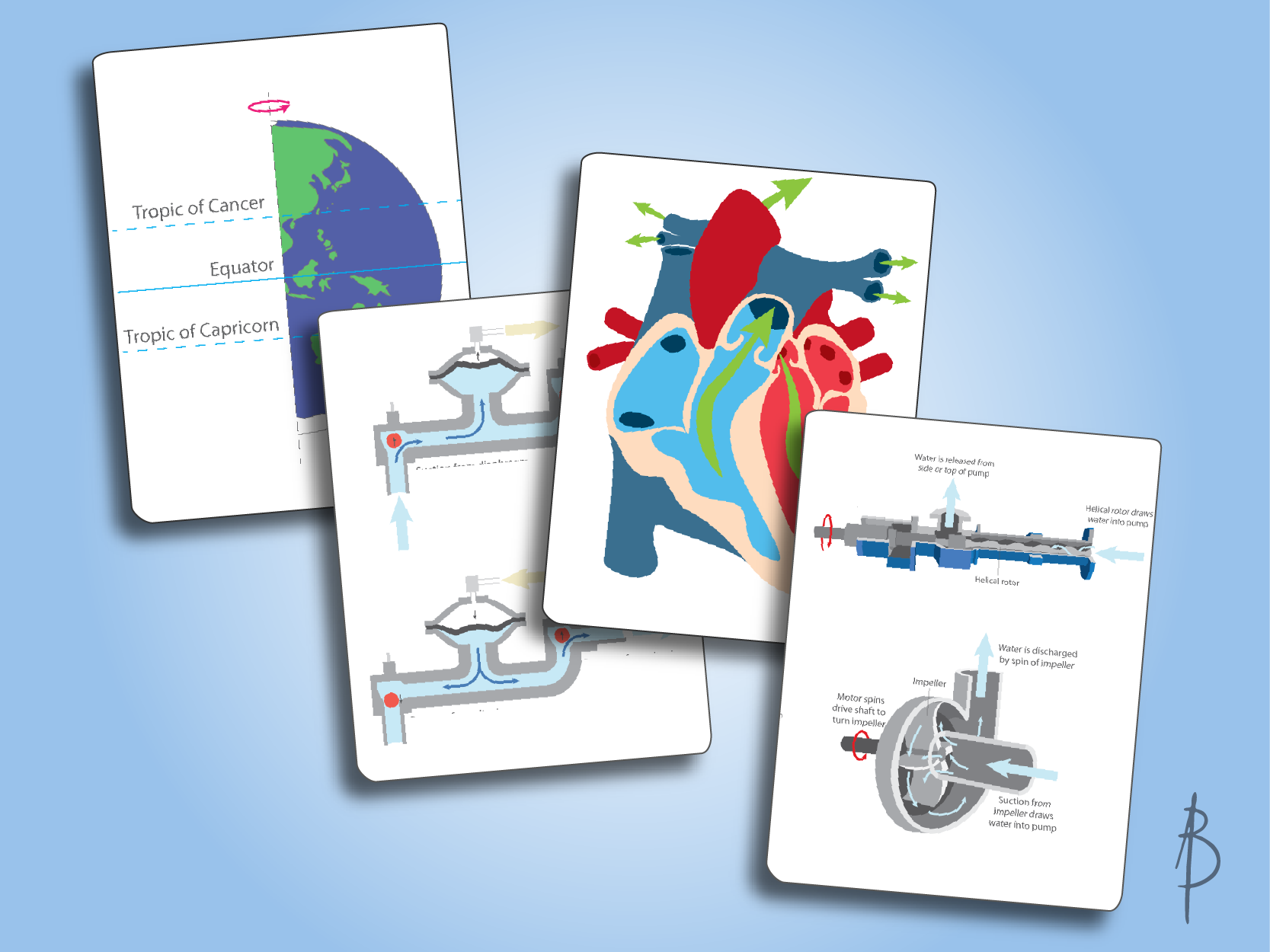 Selection of educational illustrations done for GSES
