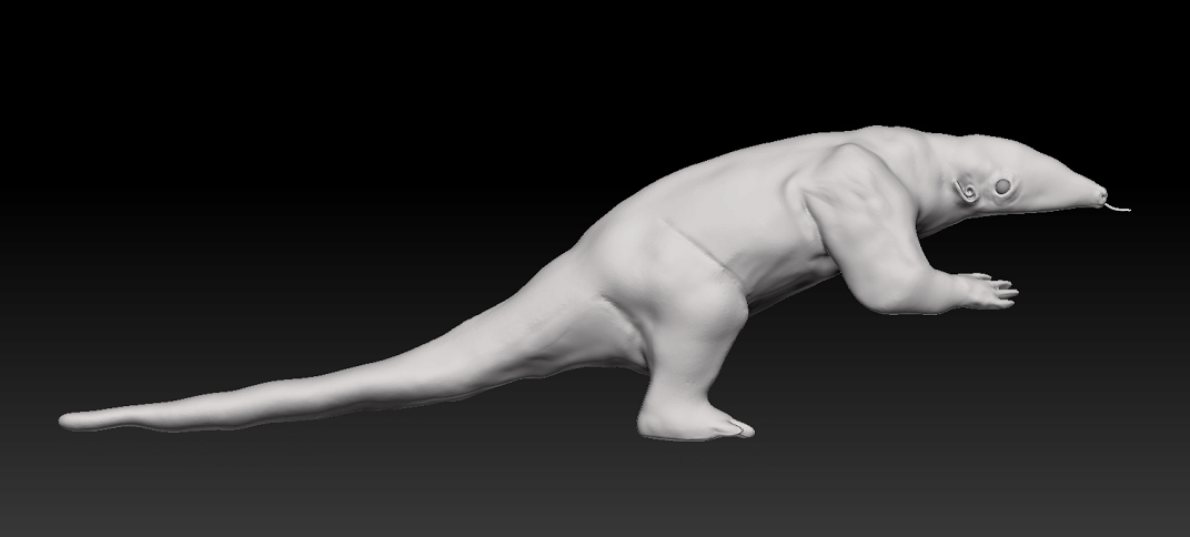 Base ZBrush sculpt