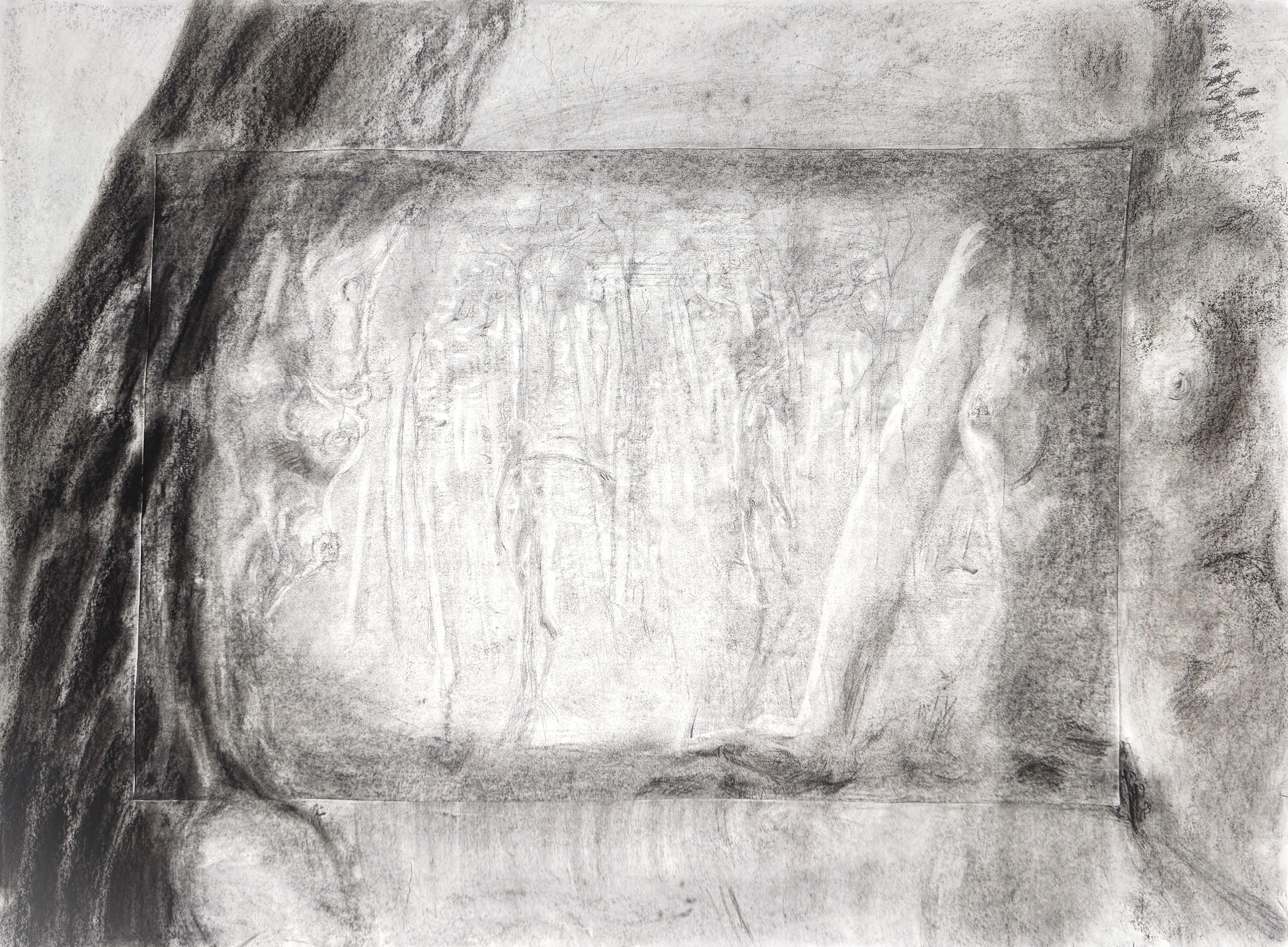 Woods People |  charcoal and graphite on paper | 36 x 27 inches | 2025 