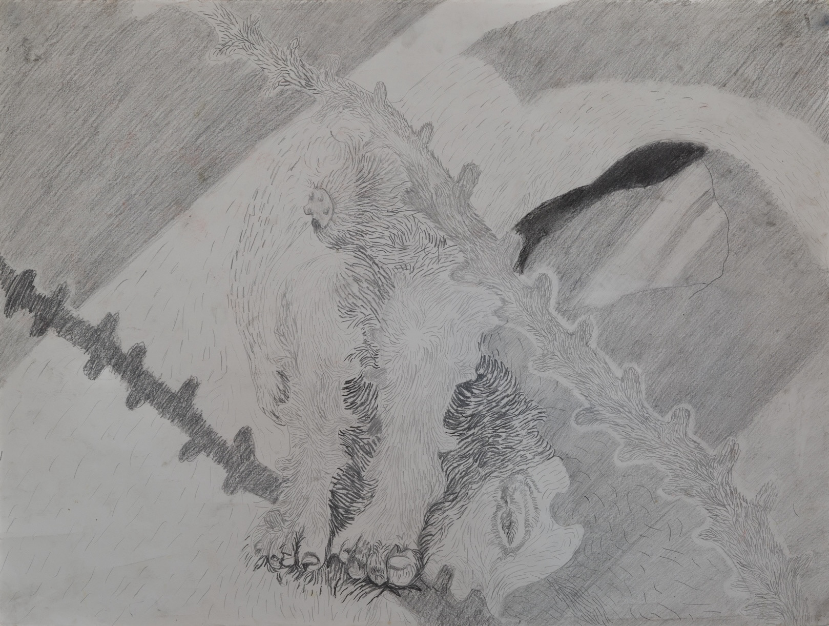 Harry Hiding | charcoal, graphite, paper on recycled paper | 24 by 18 inches | 2024