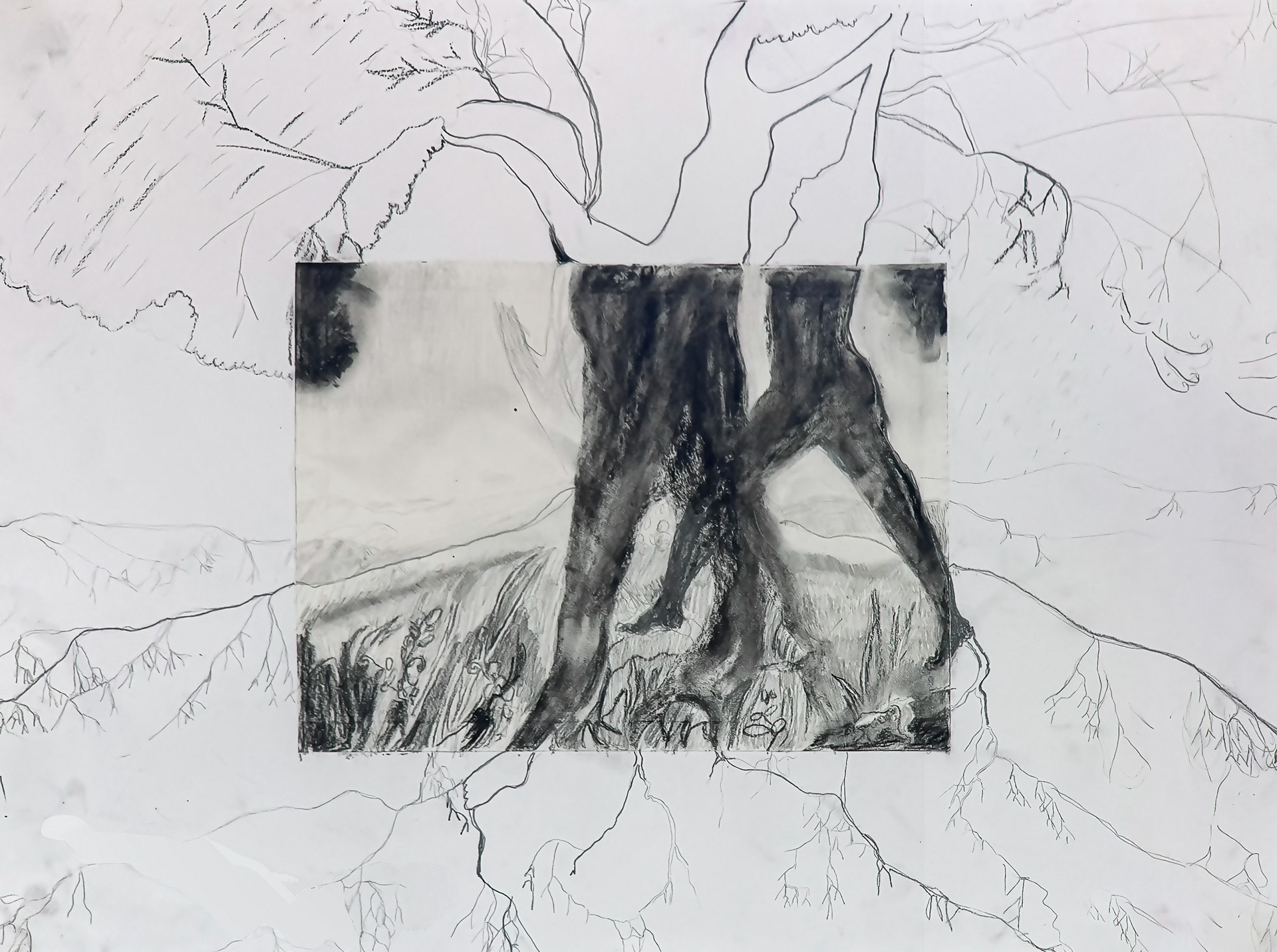 Trees | charcoal and graphite on recycled paper | 24 by 18 inches | 2024