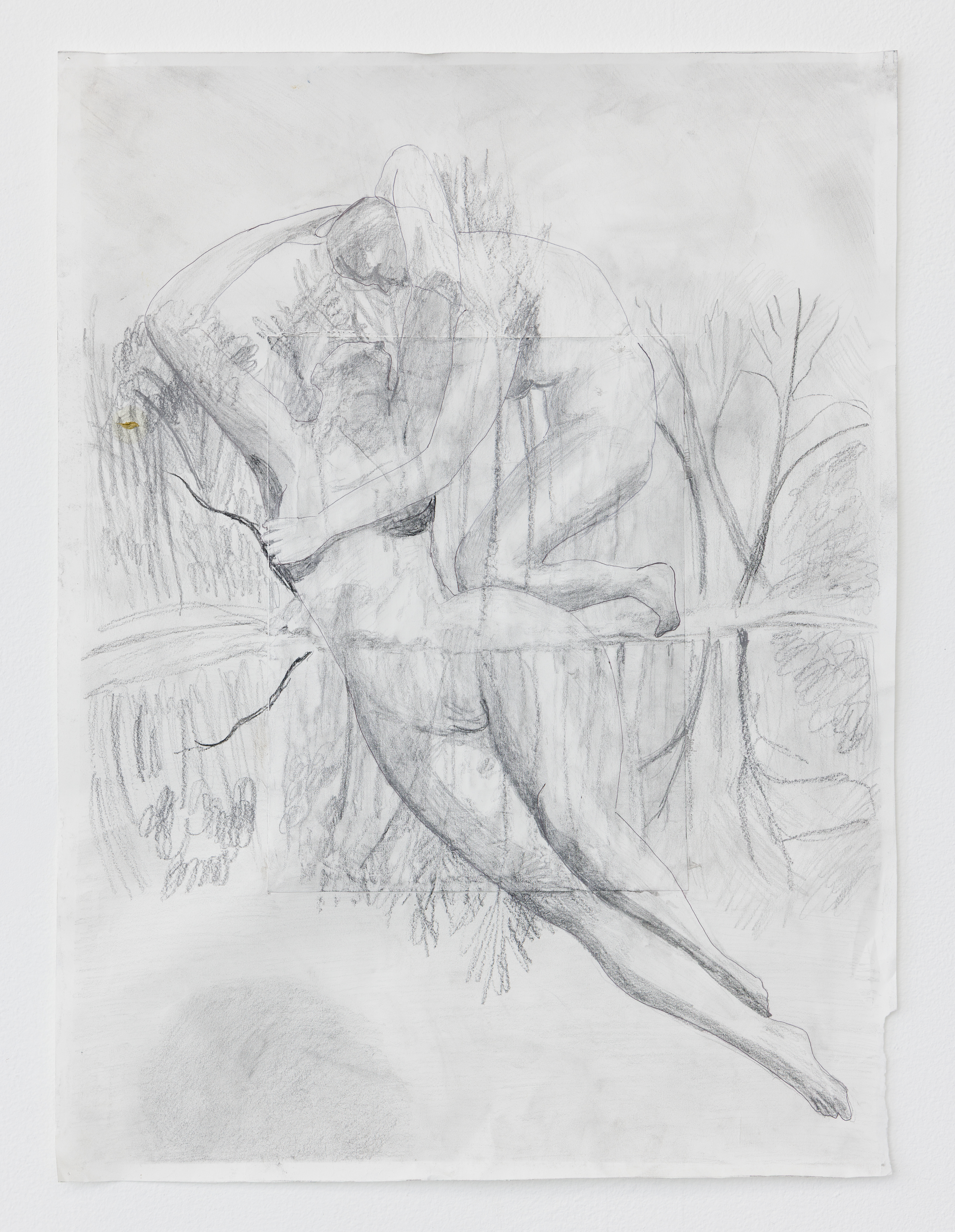 Reflex | charcoal and graphite on paper | 24 x 18 inches | 2025