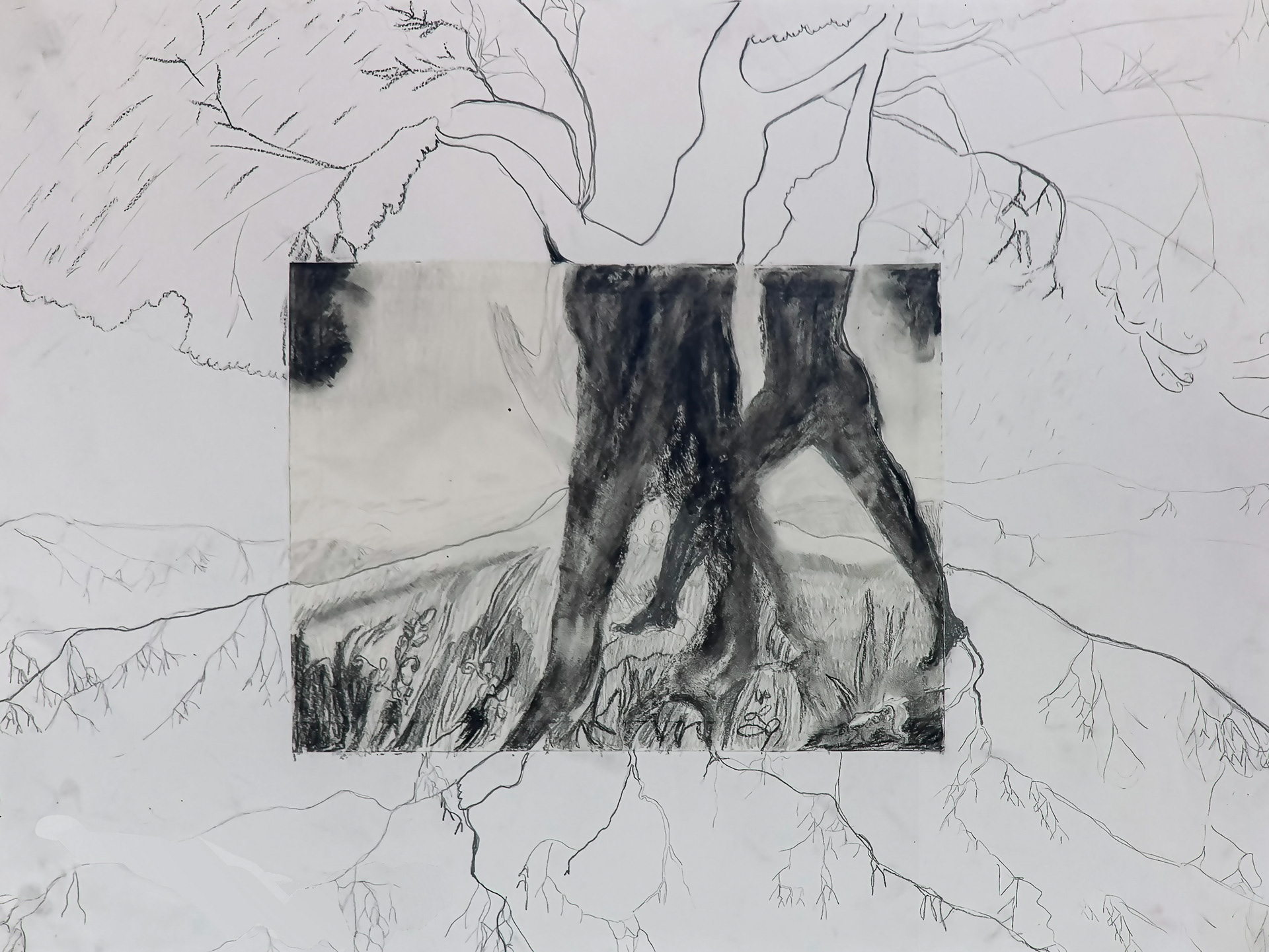 Trees | charcoal and graphite on recycled paper | 24 by 18 inches | 2024