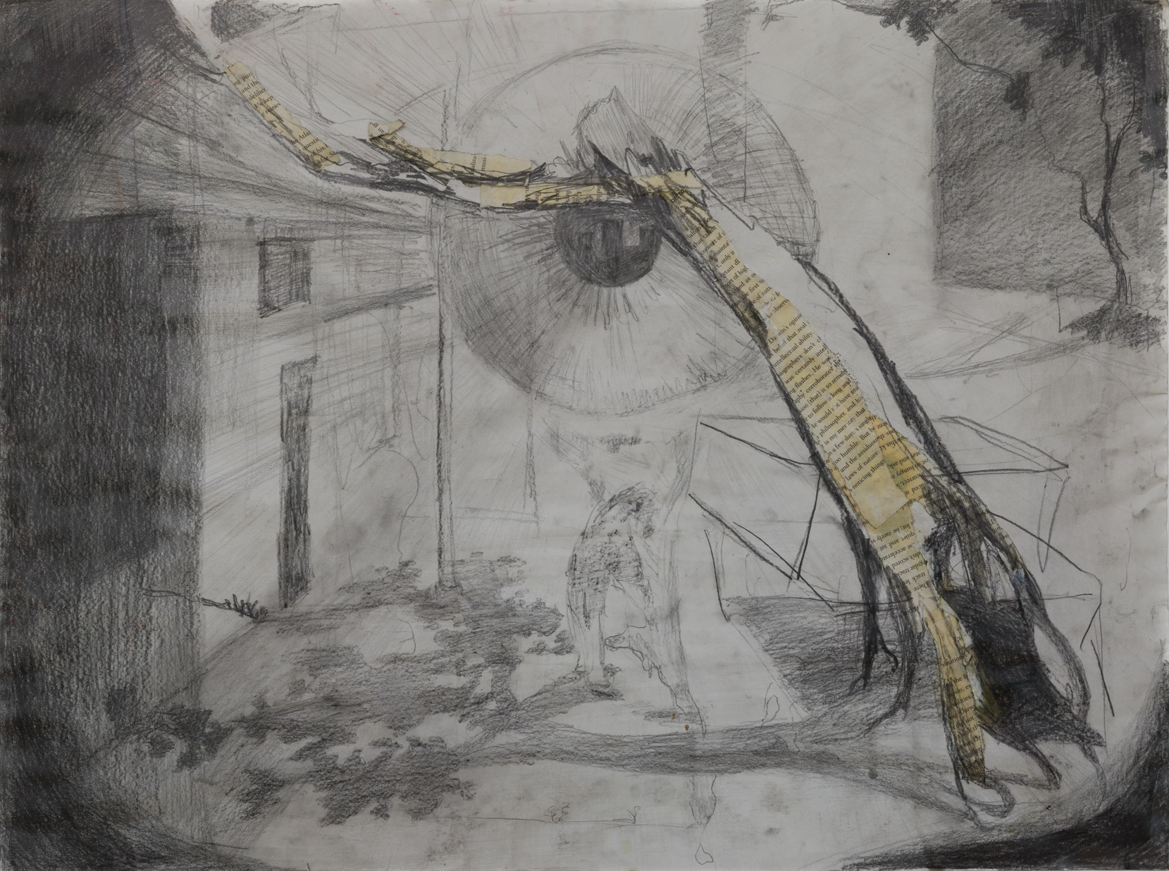 Eye | charcoal, graphite, paper on recycled paper | 24 by 18 inches | 2024