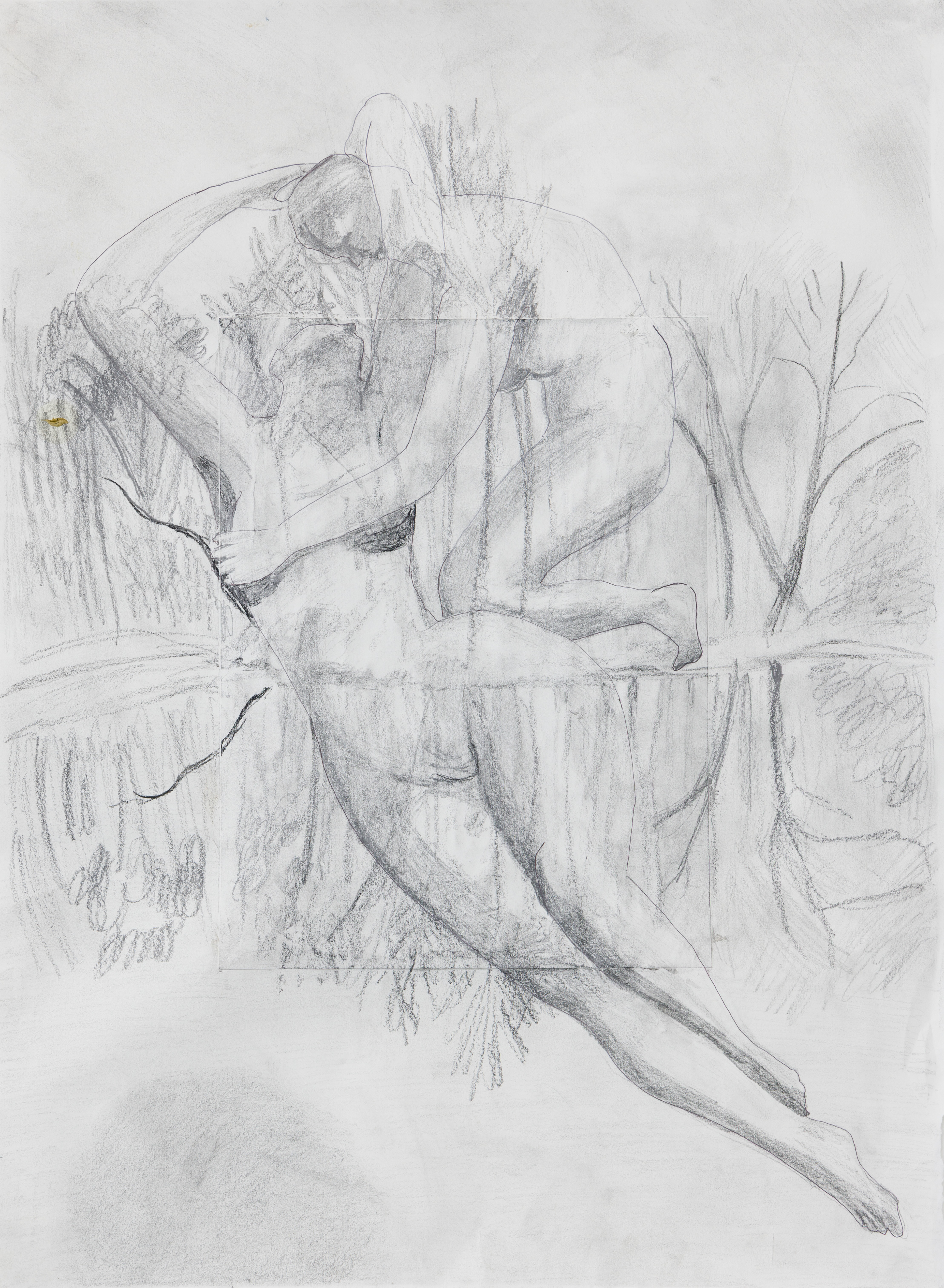 Limb Portal | charcoal and graphite on paper | 24 by 18 inches | 2025