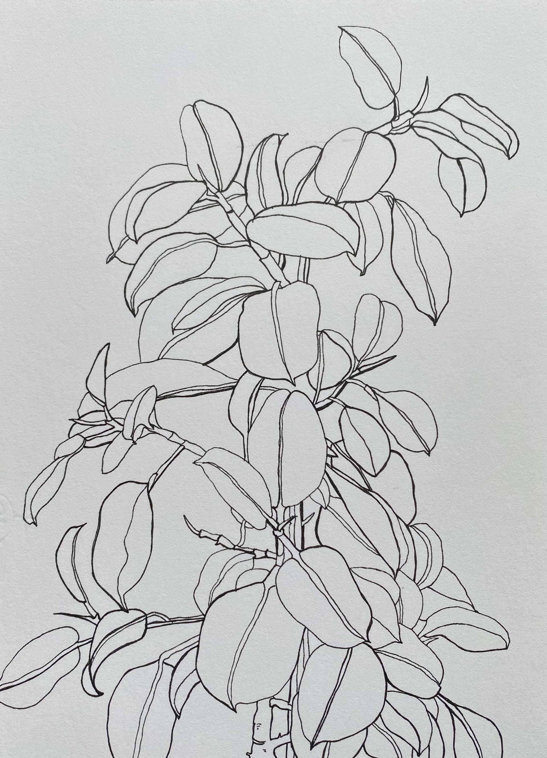 Green Garden, ink on cardboard, 16 x 22 cm, 2023