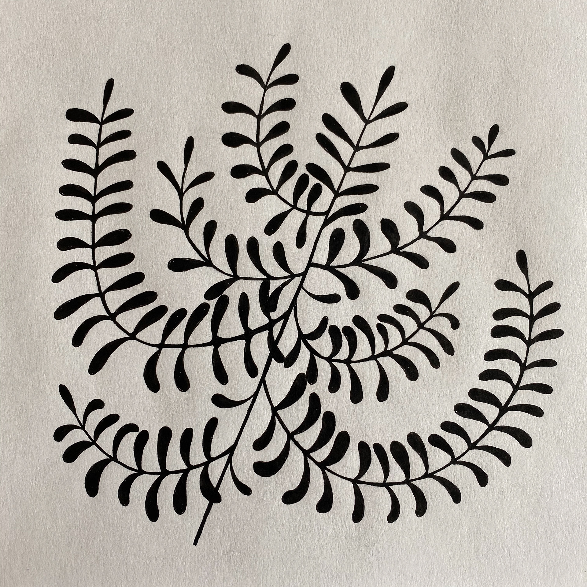 Imaginary Garden, ink on paper, 22 x 22 cm, 2020