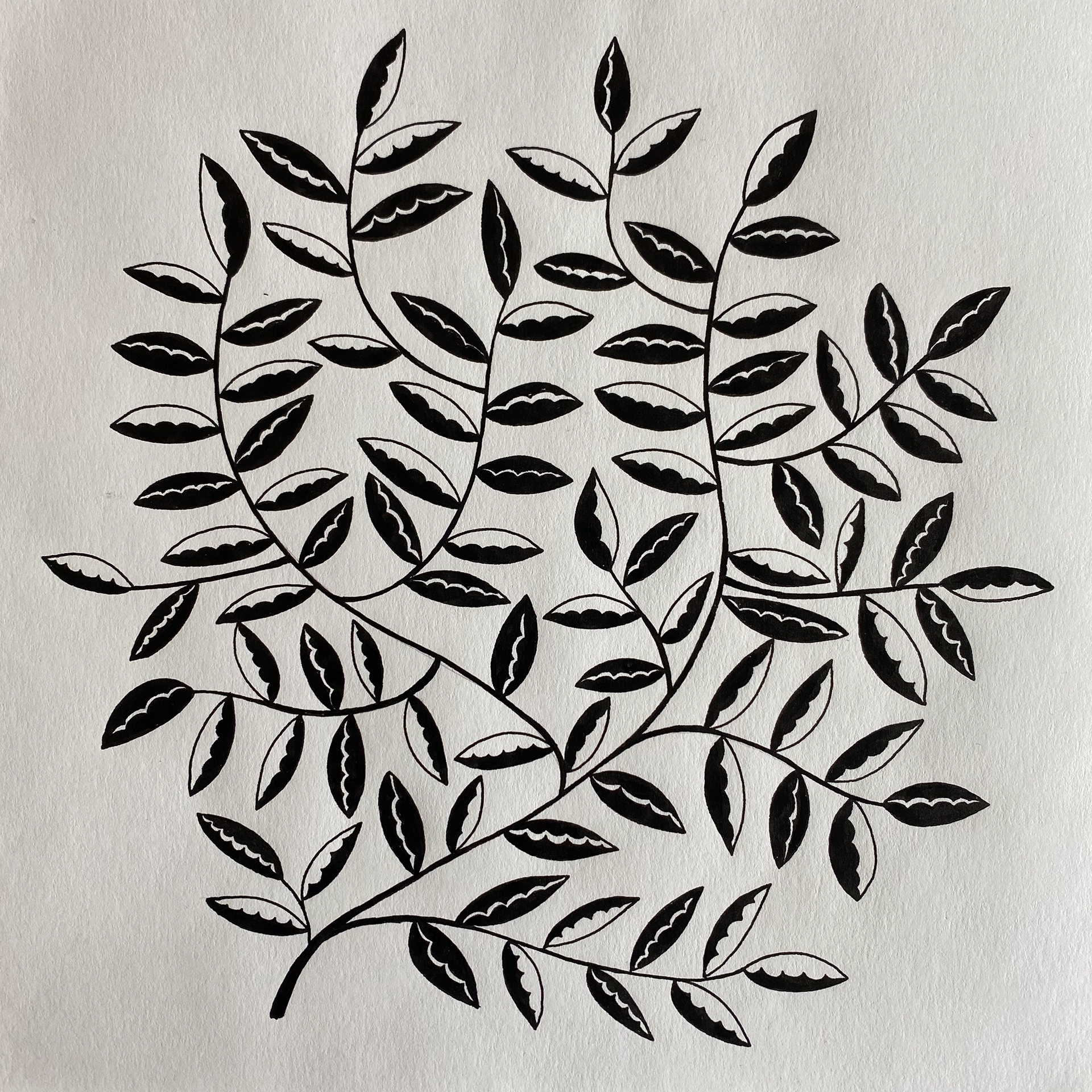 Imaginary Garden, ink on paper, 22 x 22 cm, 2020