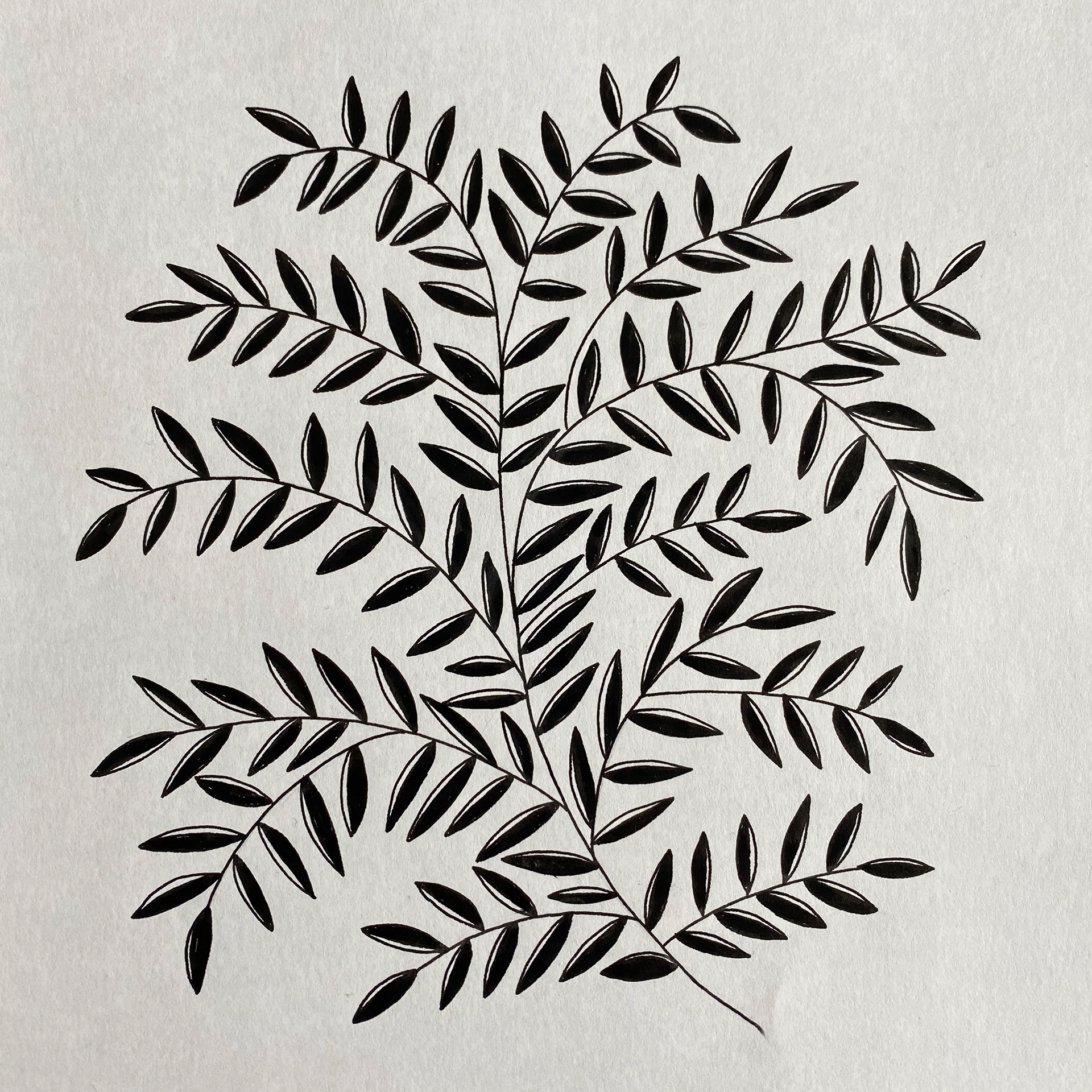 Imaginary Garden, ink on paper, 22 x 22 cm, 2020