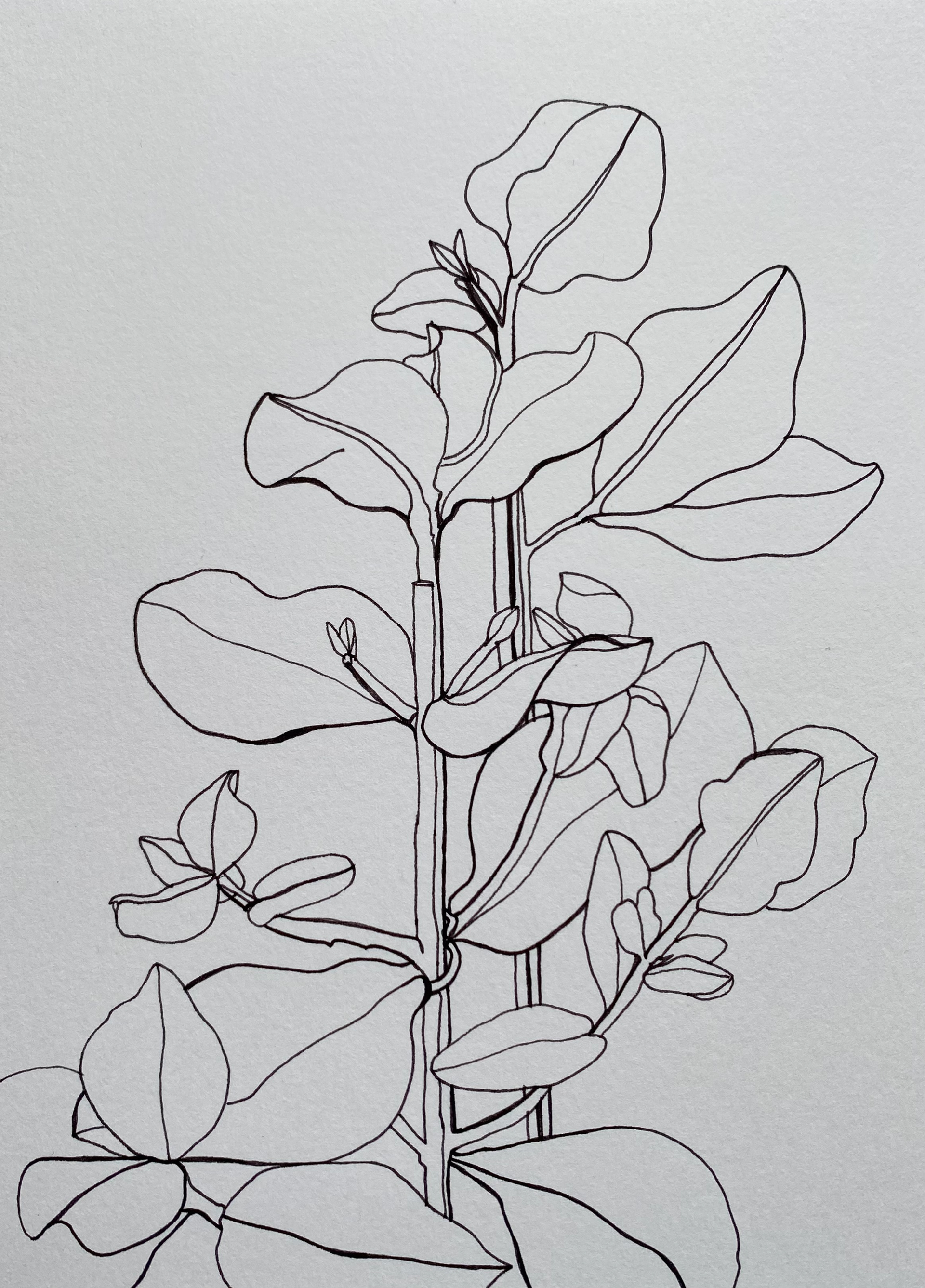 Green Garden, ink on cardboard, 16 x 22 cm, 2023