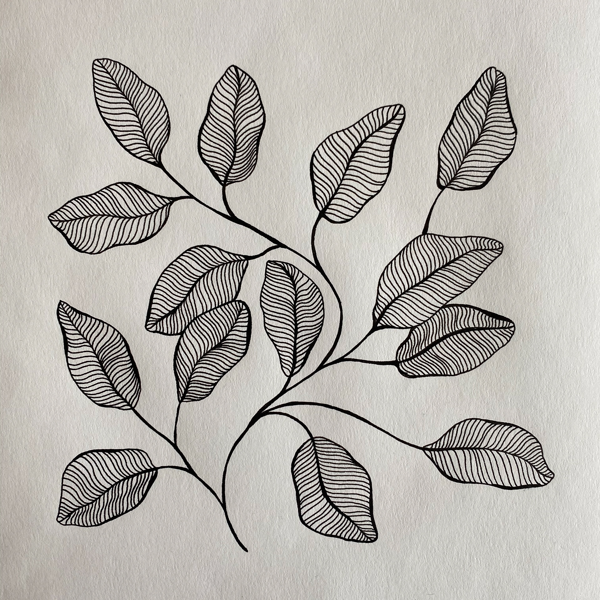Imaginary Garden, ink on paper, 22 x 22 cm, 2020