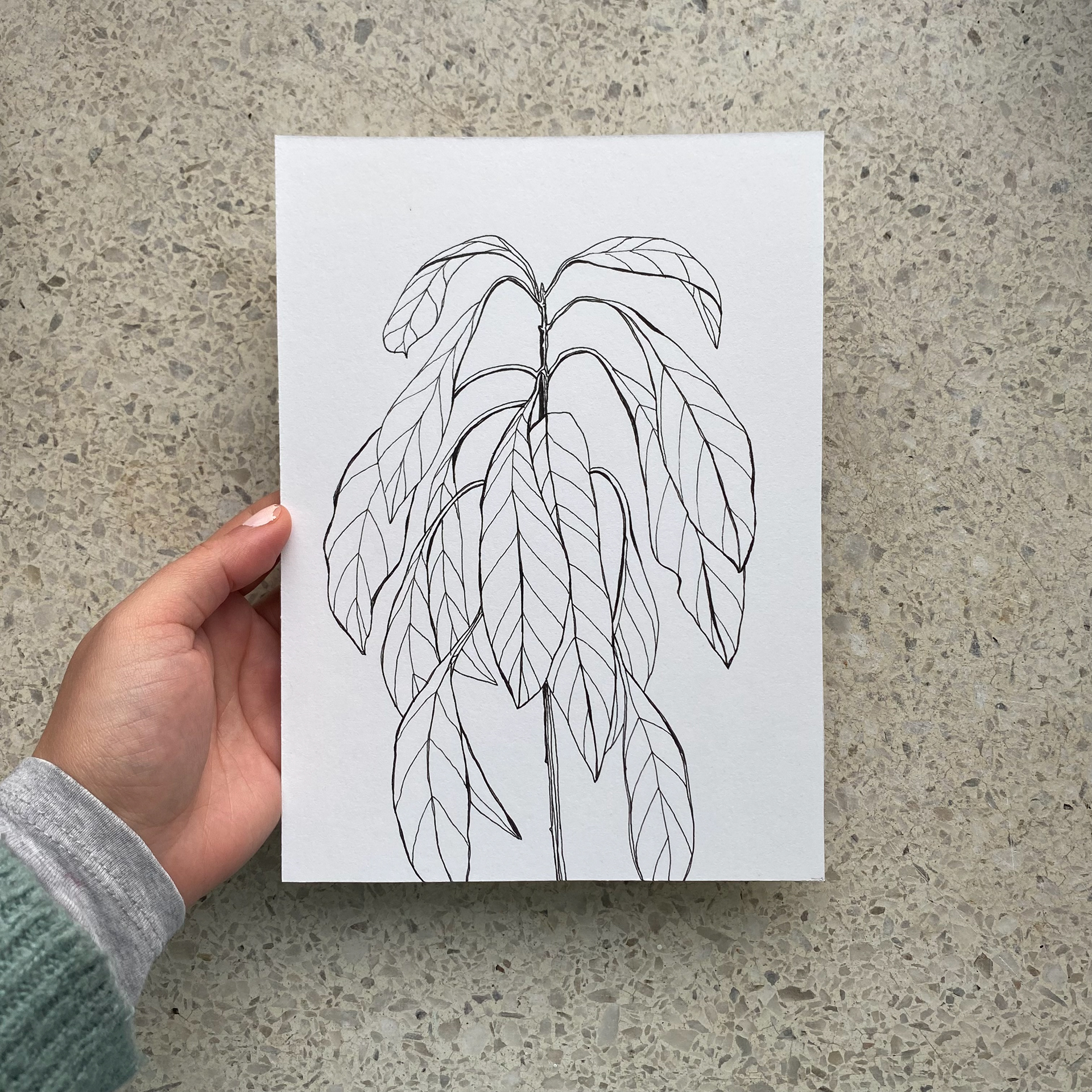 Green Garden, ink on cardboard, 16 x 22 cm, 2023