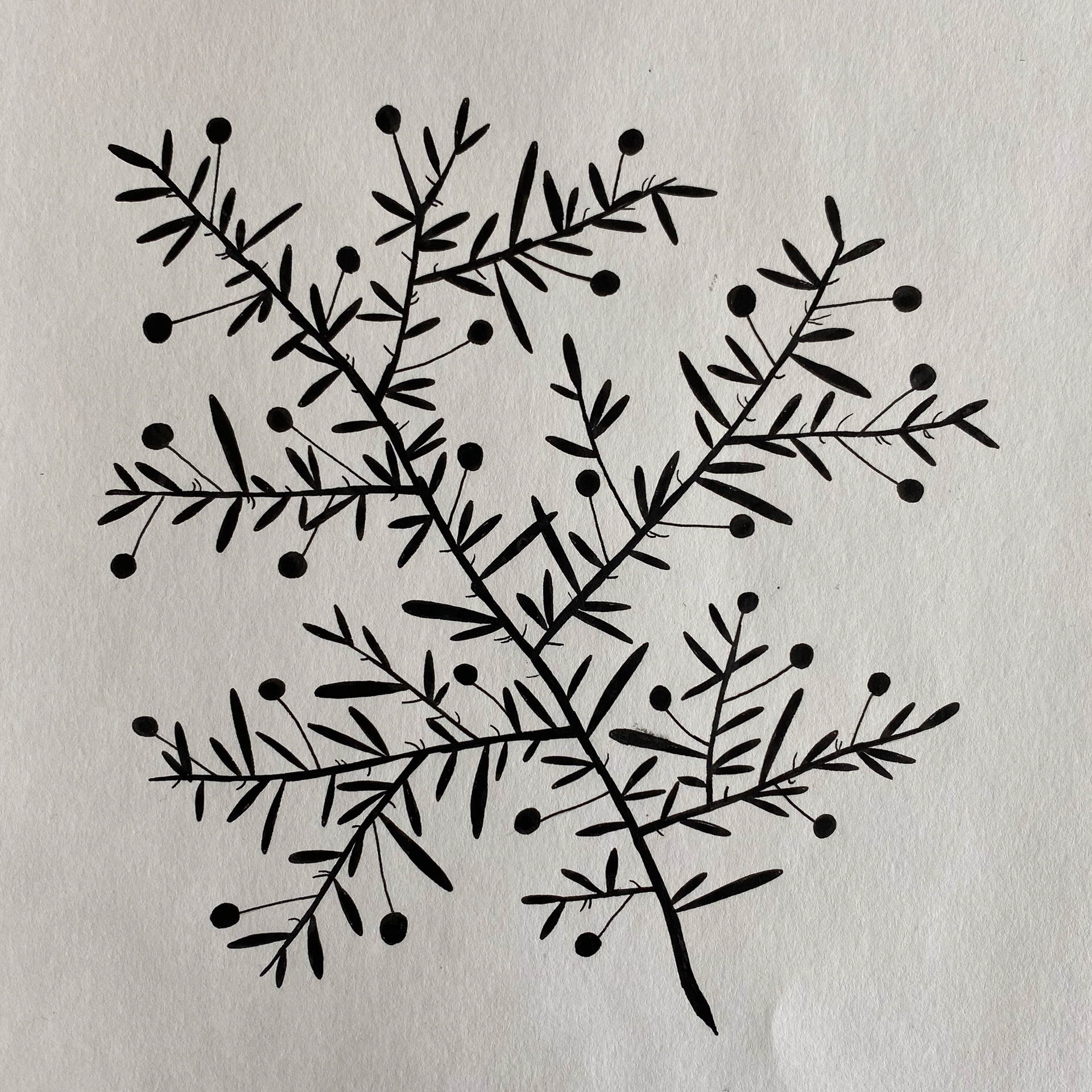 Imaginary Garden, ink on paper, 22 x 22 cm, 2020