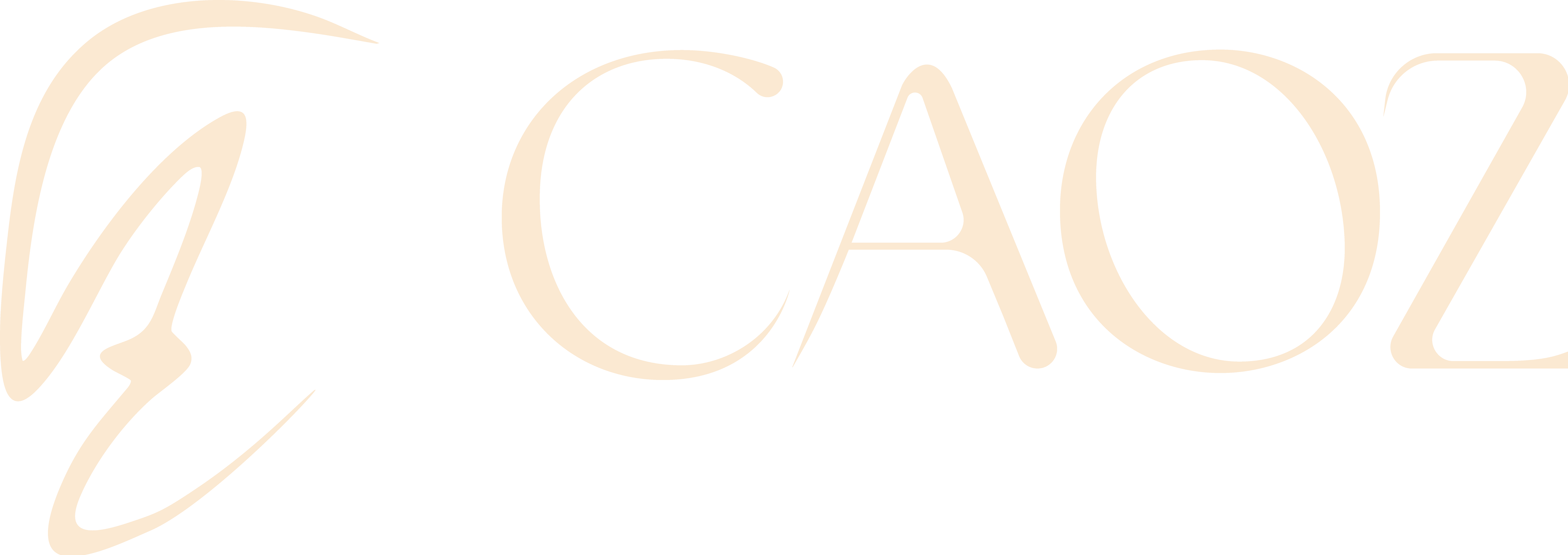 Catalina Muñoz