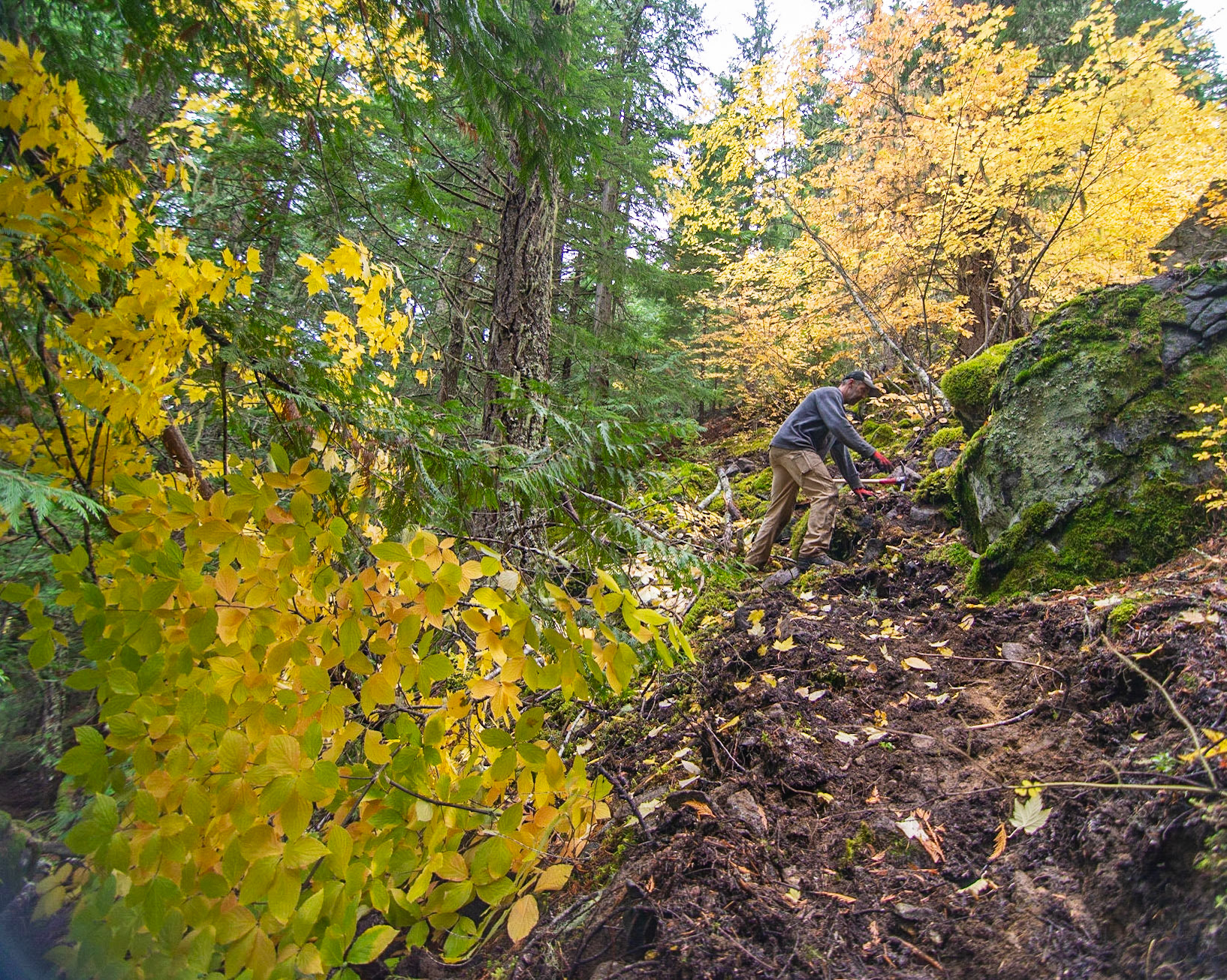 Fall clipping