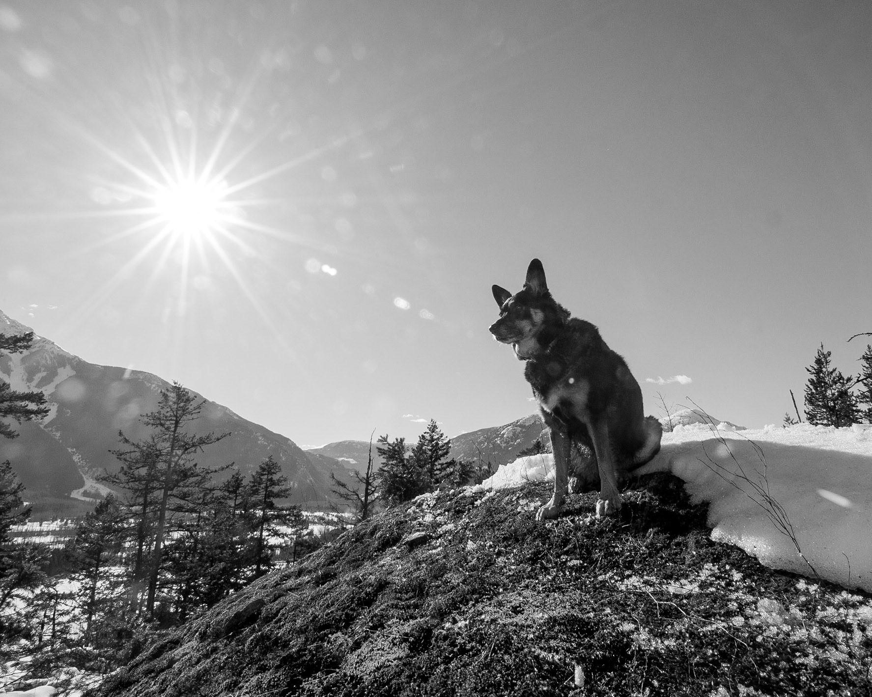 Marlee taking in the sun