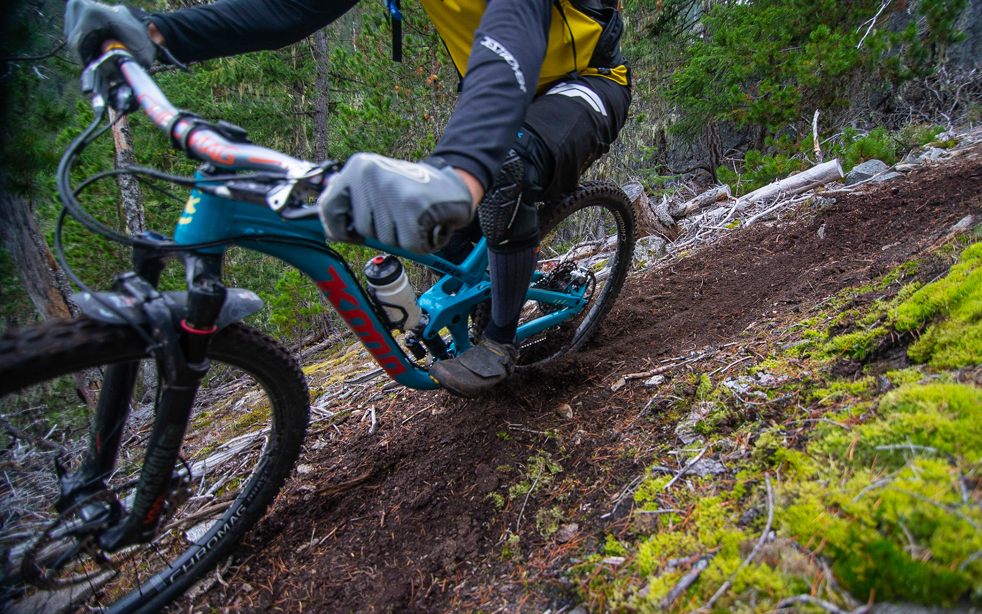 Get ya some Pemby loam