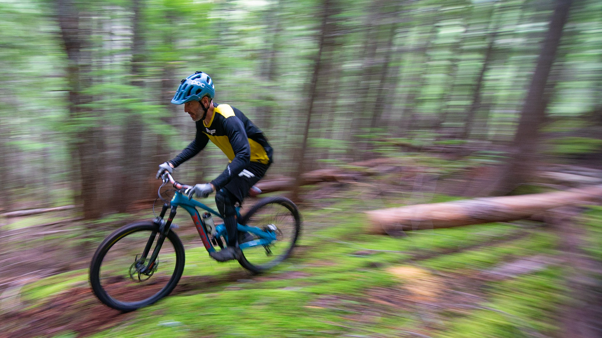 Green loamy trails