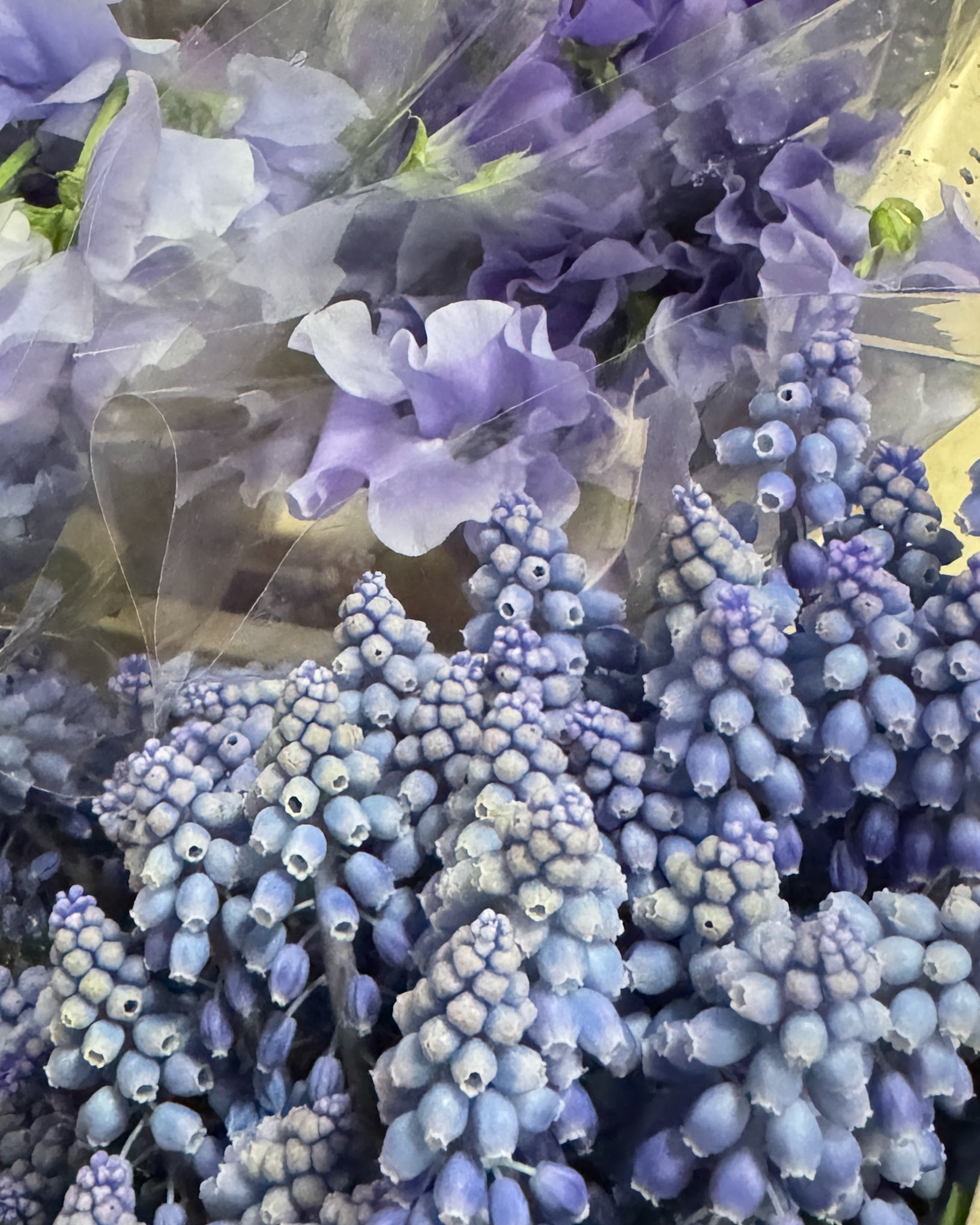 Muscari stems and Lavender Sweet Pea from Japan.