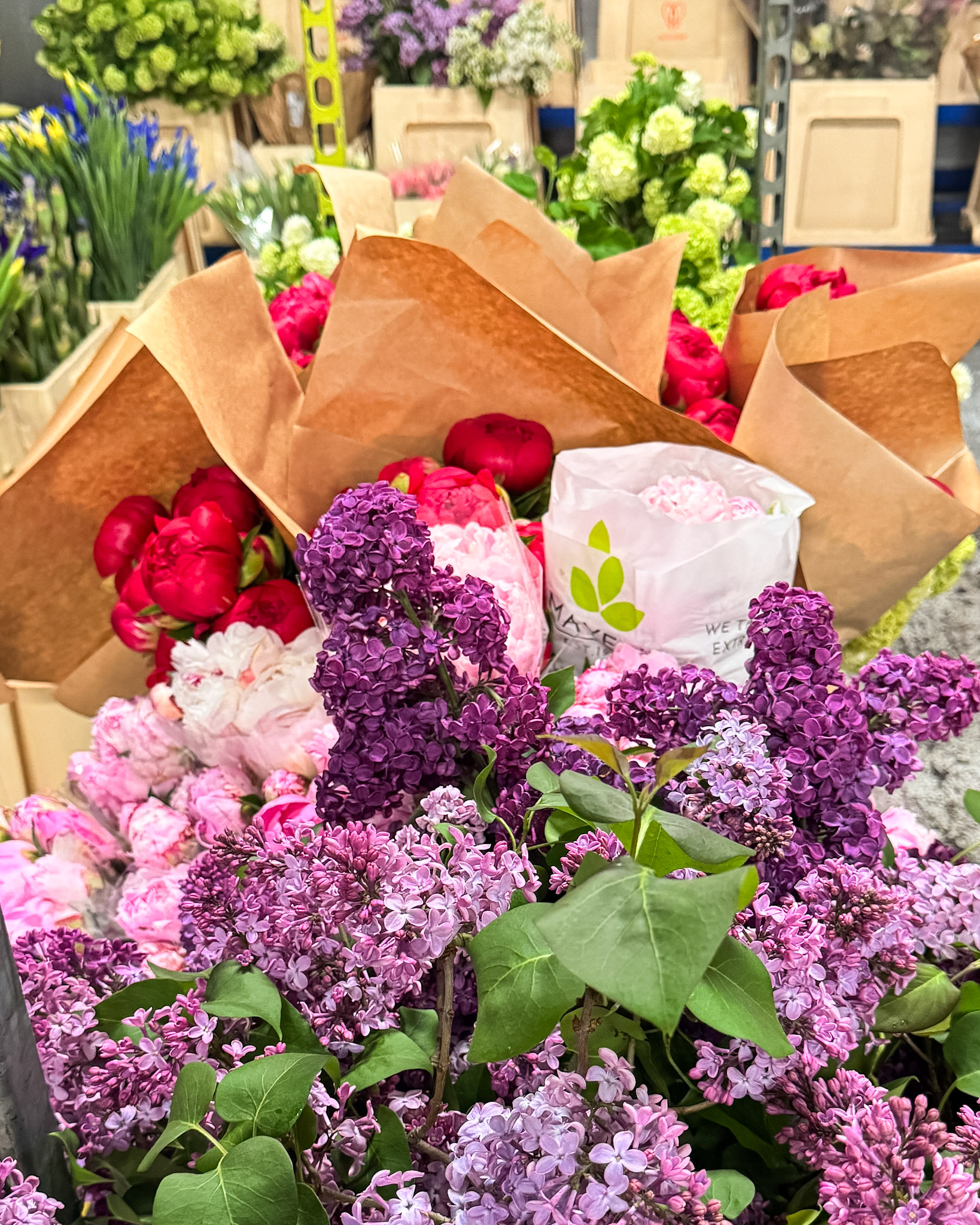 Locally grown lavender in assorted shades.