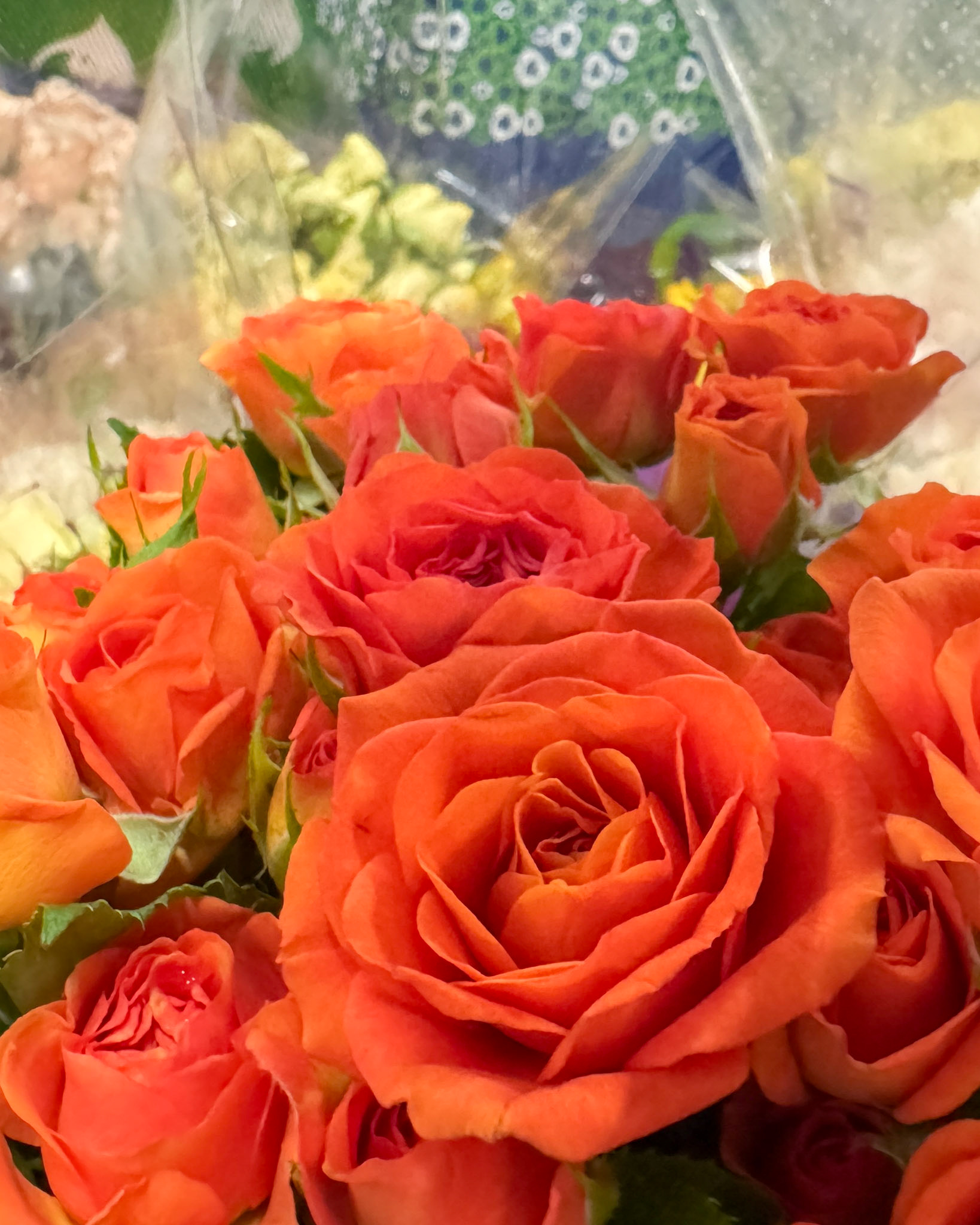 Orange Garden Spray Roses