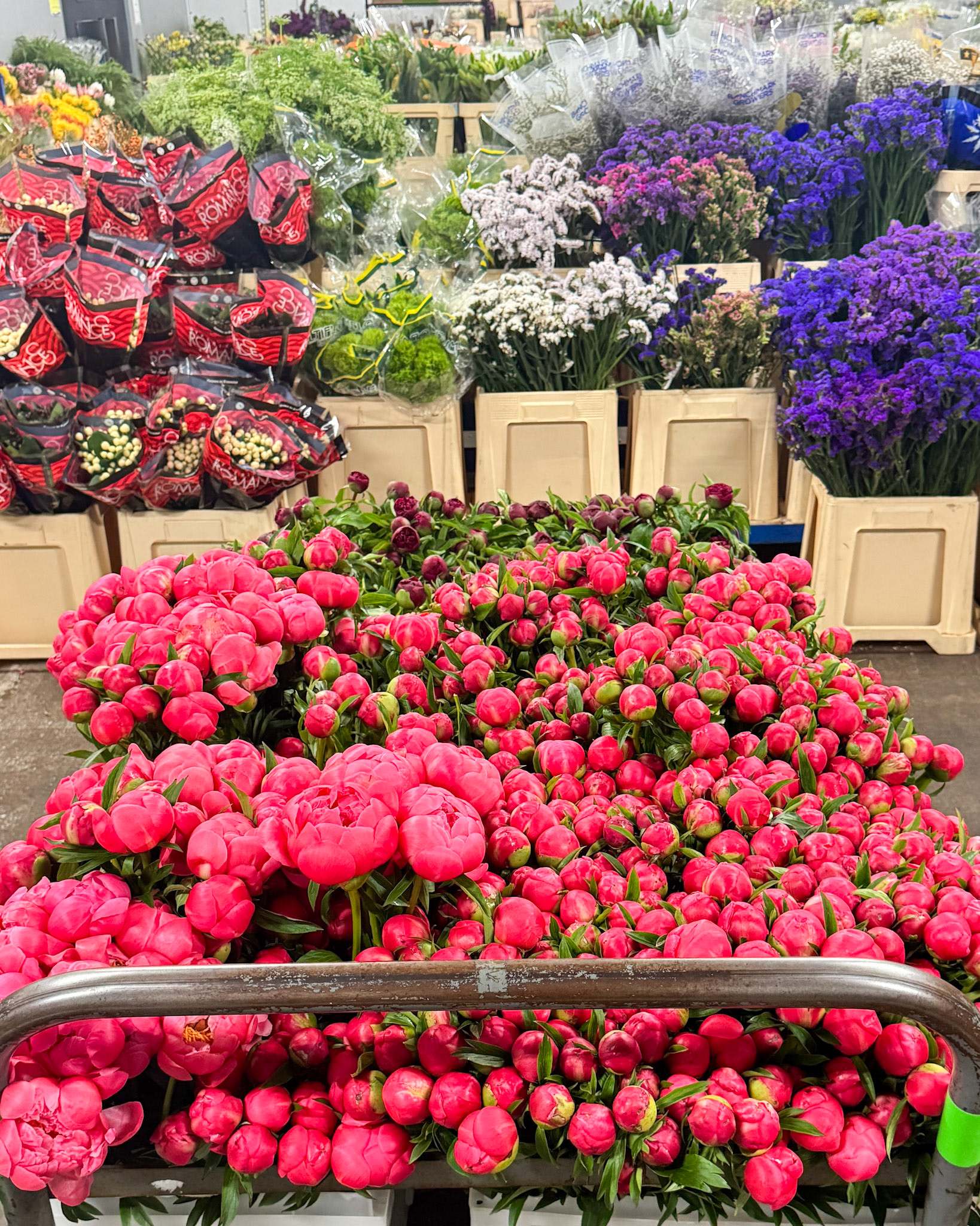 Hundreds of fresh cut peonies.