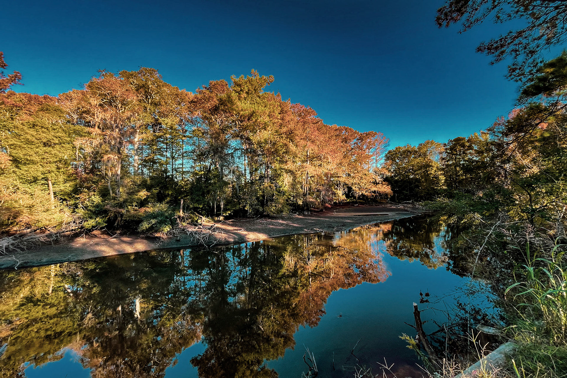 66 - The Pirate’s Treasure