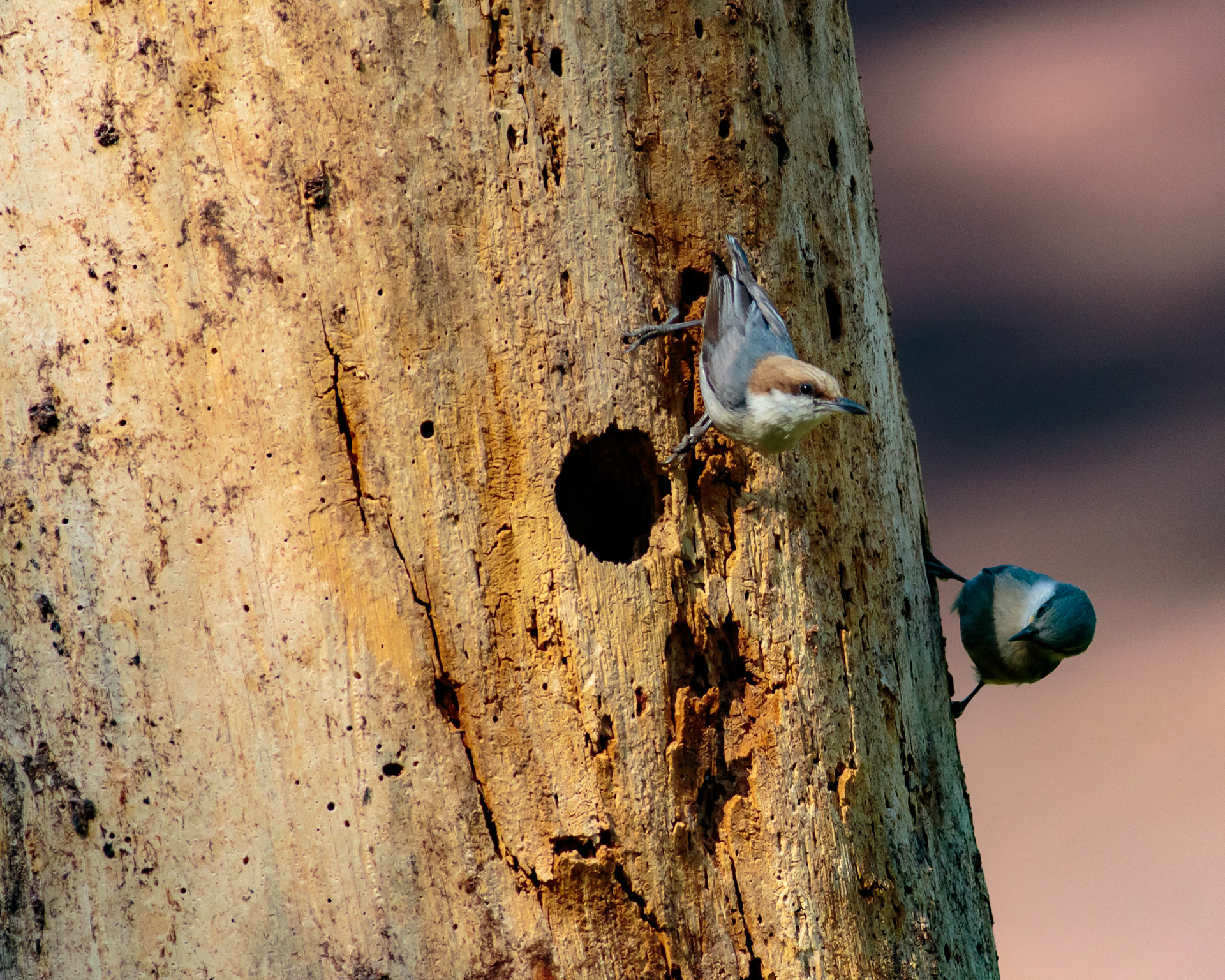 41 - The Downstairs Apartment