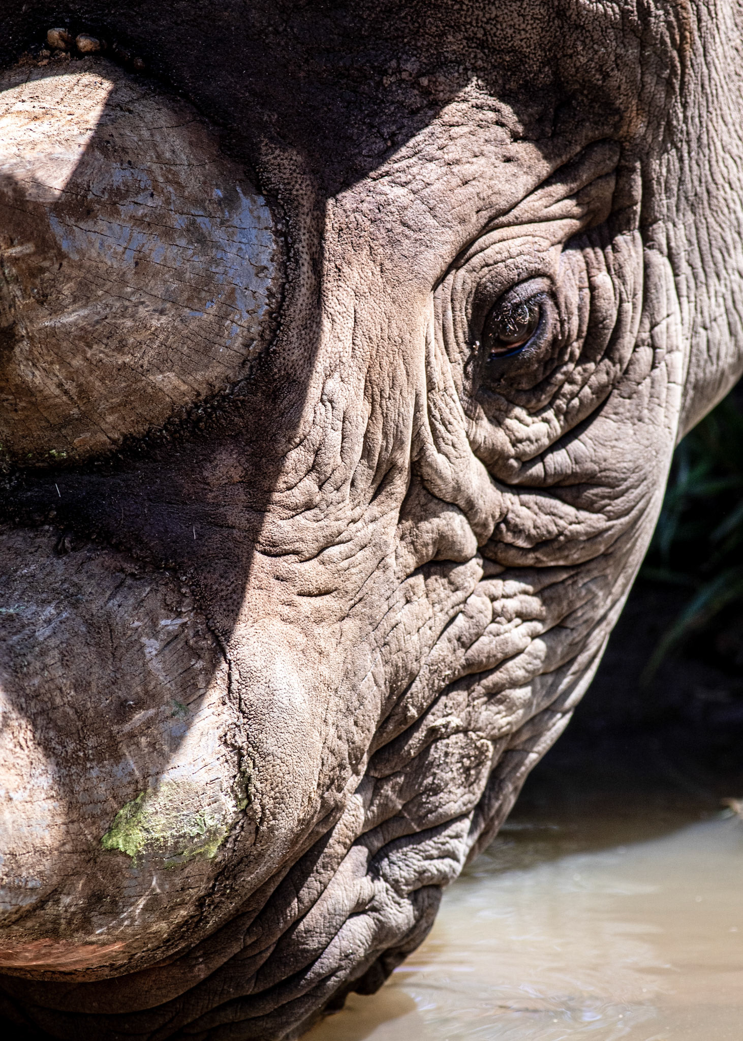 37 - A Drink Remembered