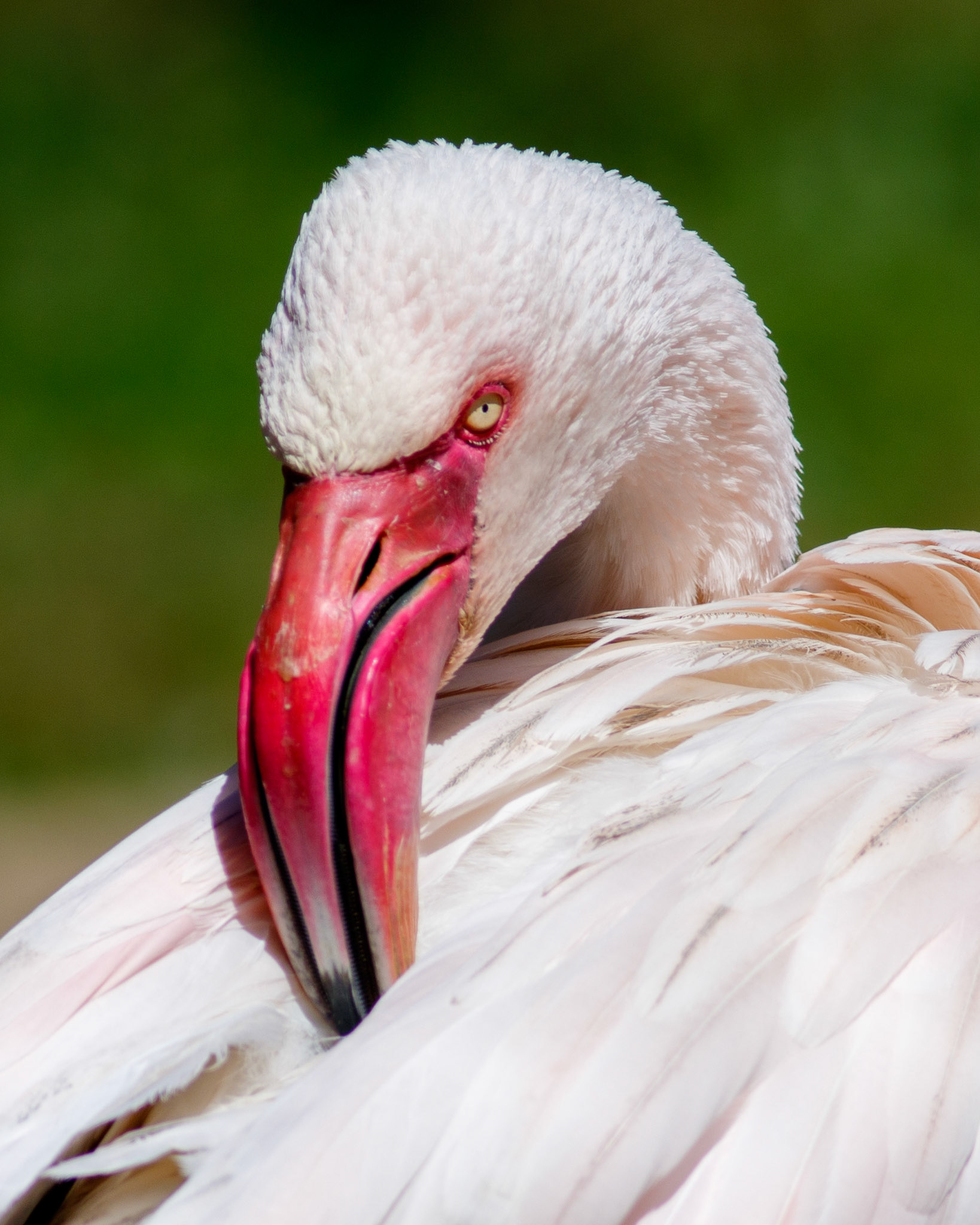 36 - Piercing Captivity