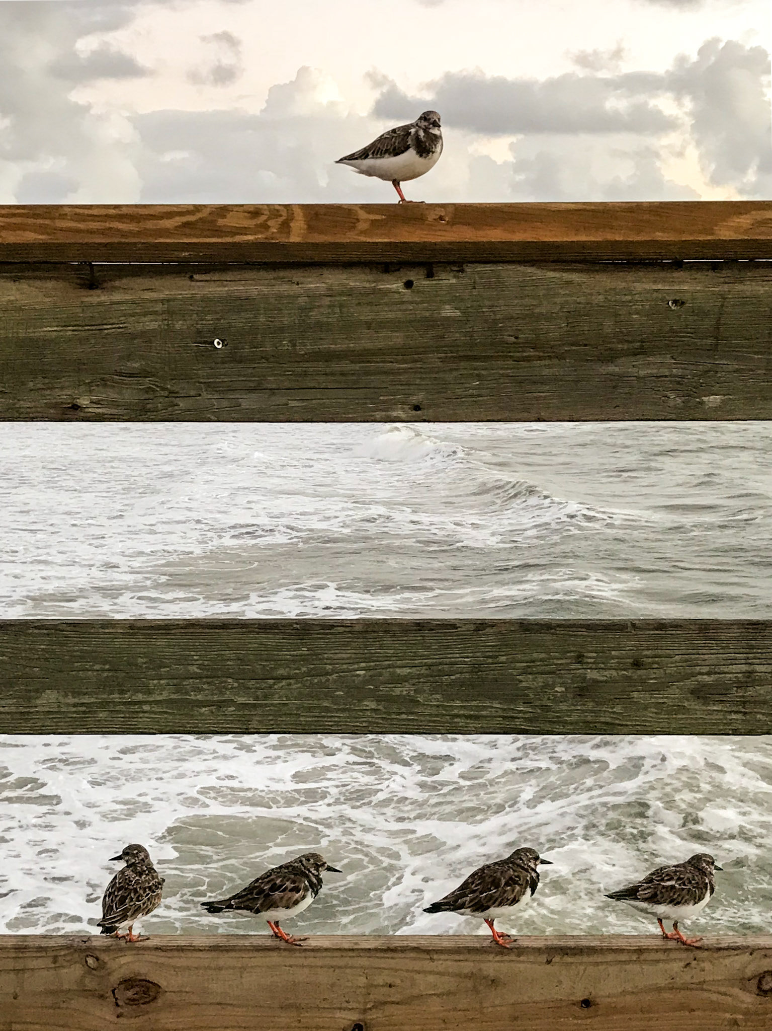 01 - Surf, Sun, and Woodgrain