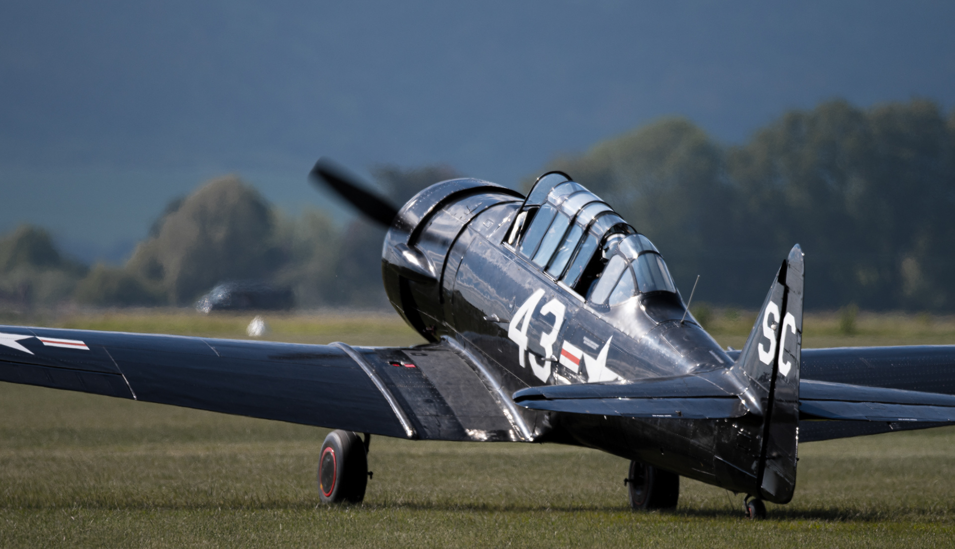 163/365 Harvard at Goodwood.