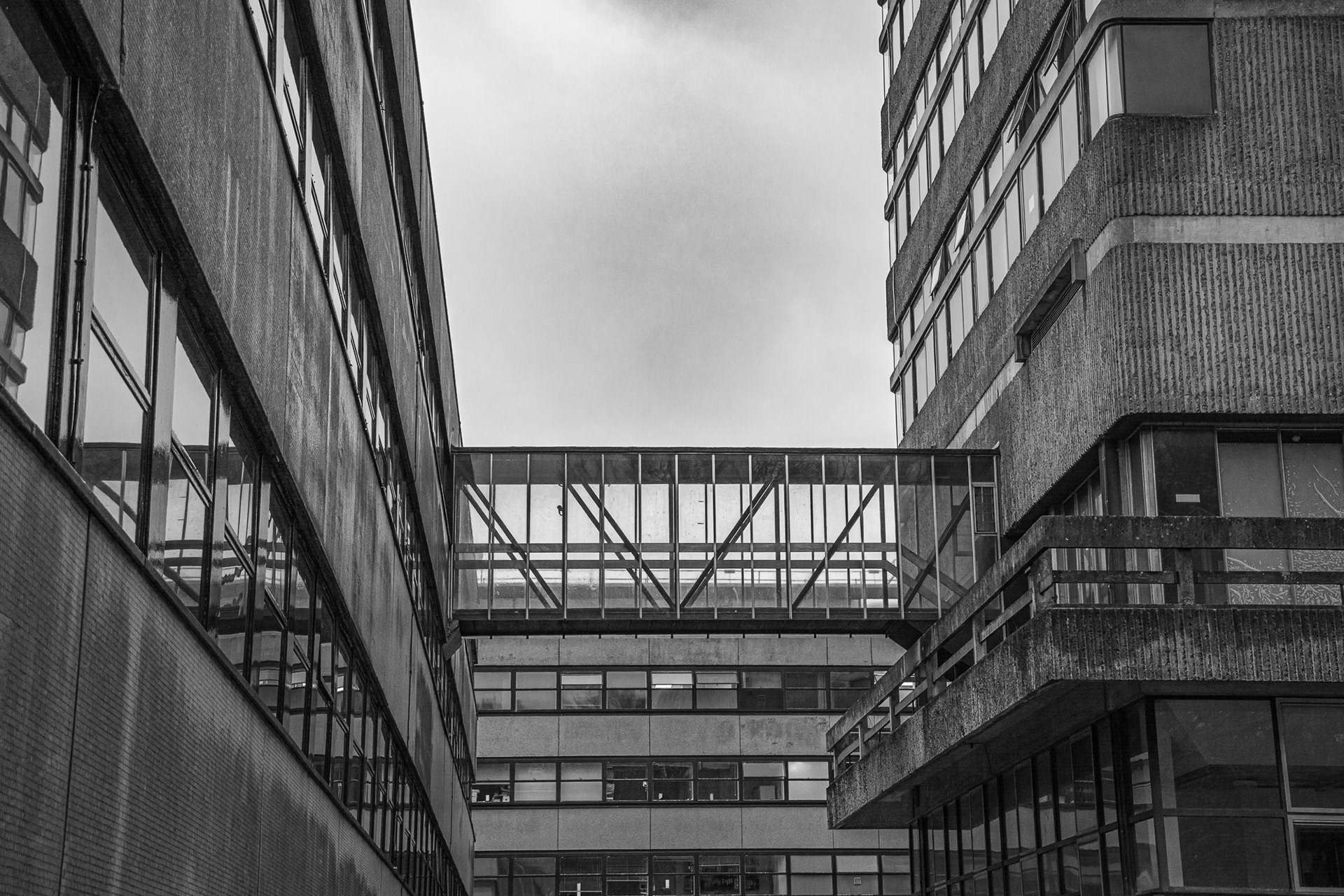 19/365 Grey buildings on a grey day. The Maths and Murray buildings. The number of co-joined buildings on campus is quite astonishing.