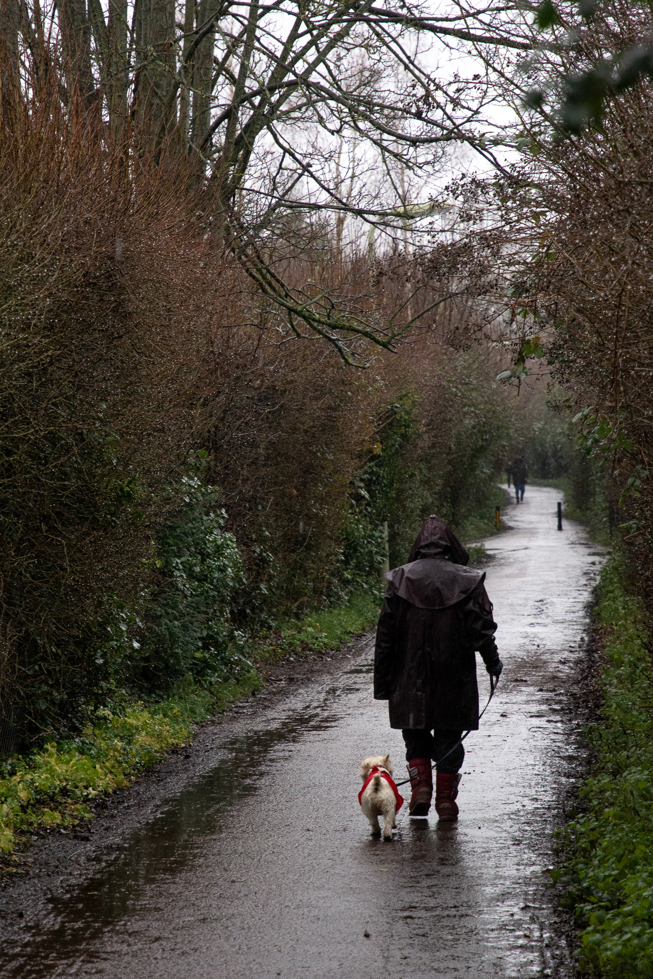 20/365 Dog walk on the canal. Had to pop over to the postbox on a drizzly day.