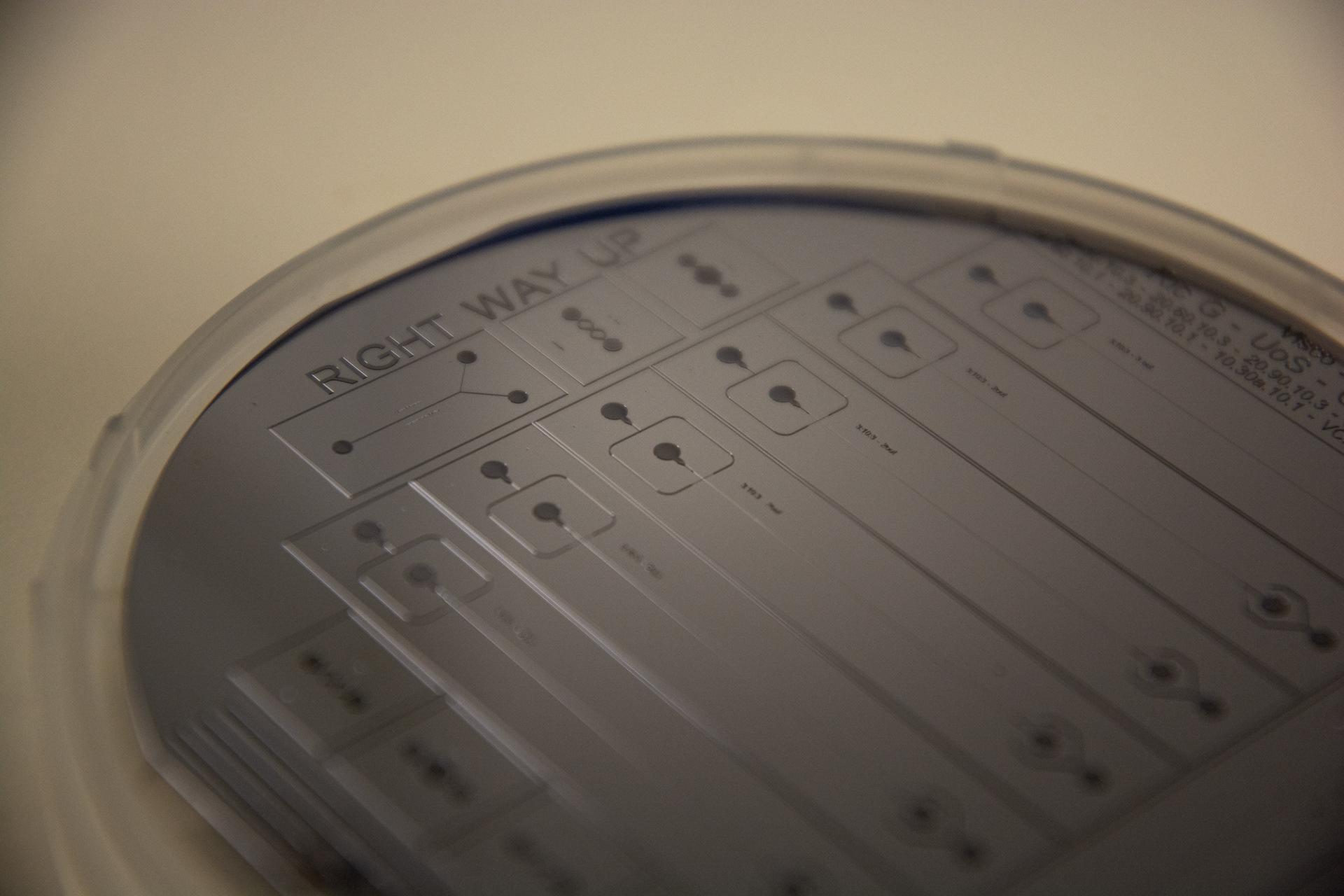 14/365 New Wafer. Spent far too long faffing about with these designs, but finally got them to play with :-)