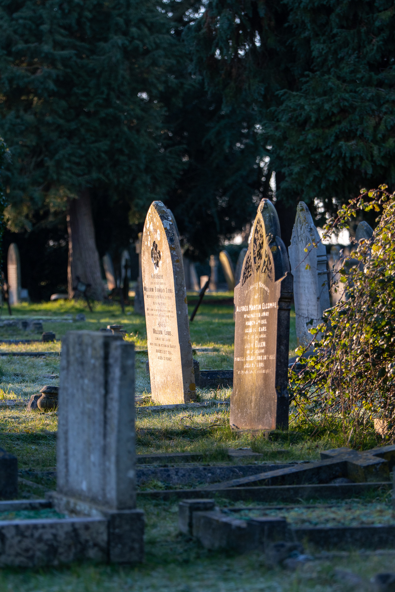 25/365 Romsey Cemetery. Another place I pass every day, but on this cold frosty morning I took a moment to take a stroll in the peace. Beautiful morning light.
