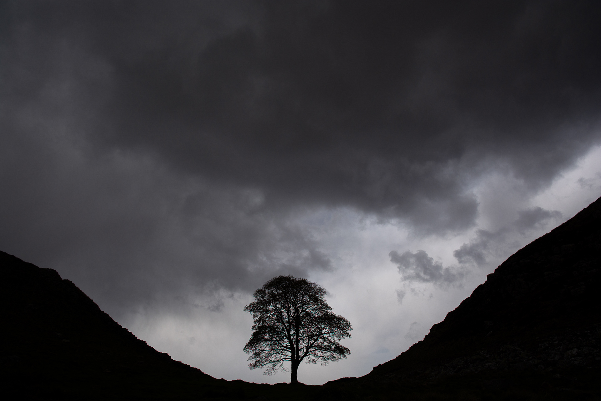 125/365 Sycamore Gap.
