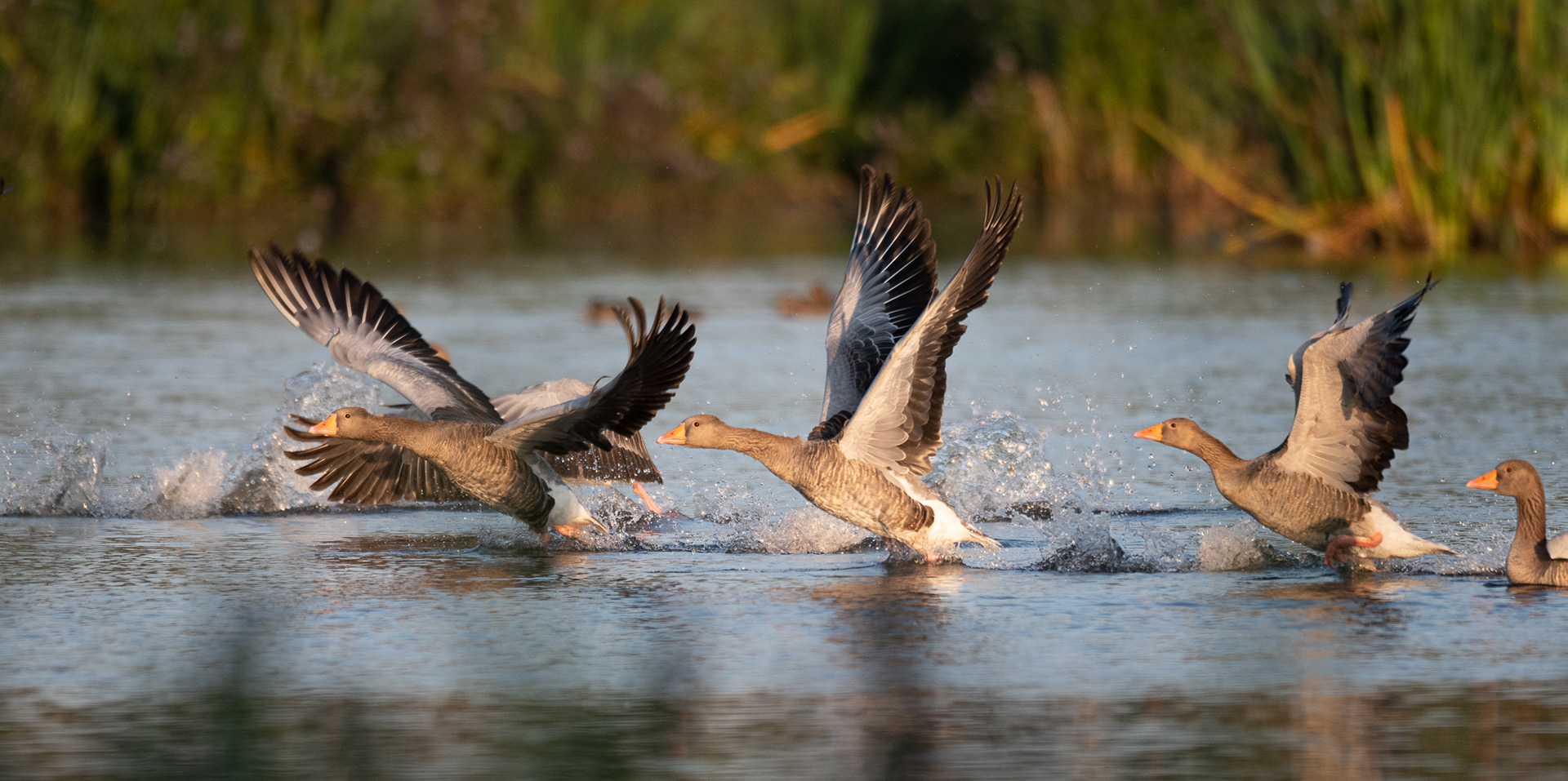 236/365 Takeoff.