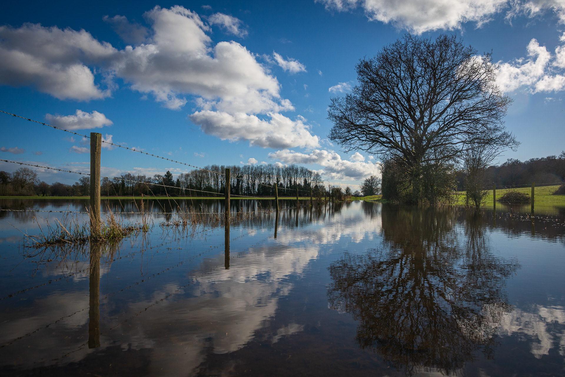 37/365 Sunshine after the rain - negotiating a muddy path is one thing, but this really was an impasse.