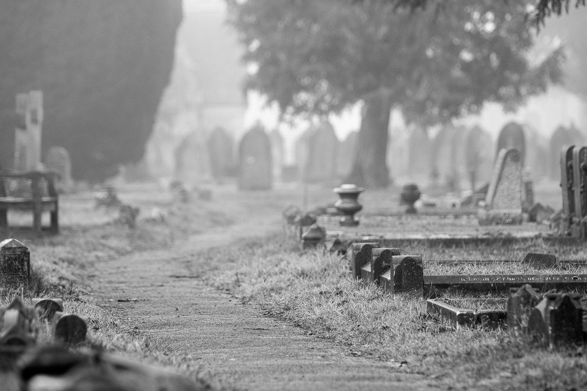 36/365 Graveyard walk in the morning mist.
