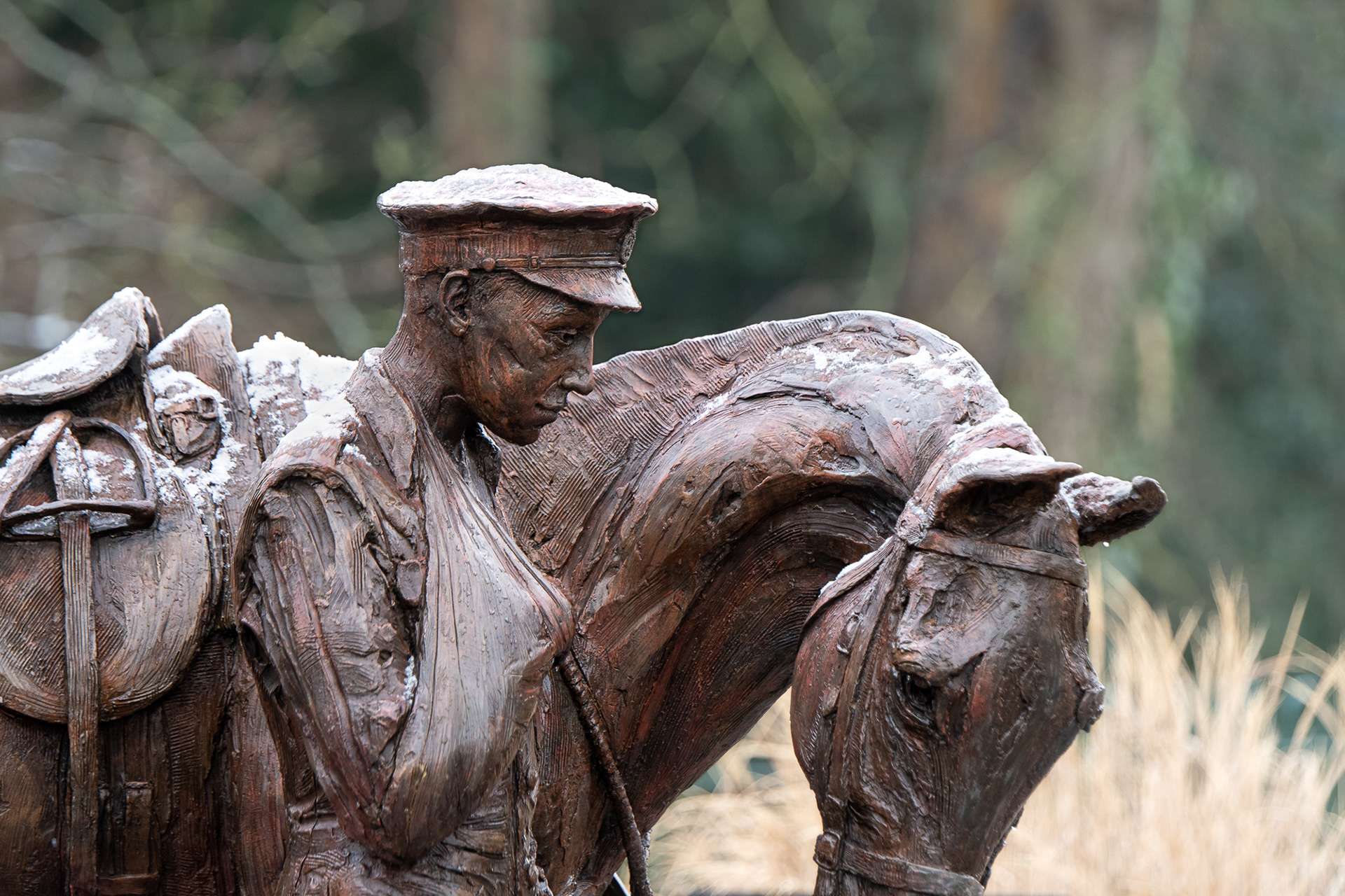 24/365 Warhorse in the snow. Only a little bit of snow in Romsey, but a lovely walk all the same and this very poignant statue felt even more emotive after the light sprinkling.