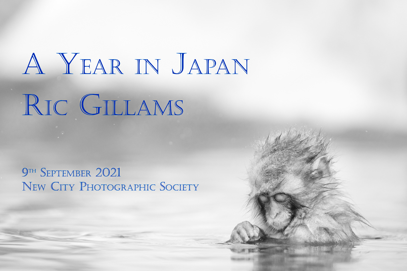 252/365 My first talk about Japan.