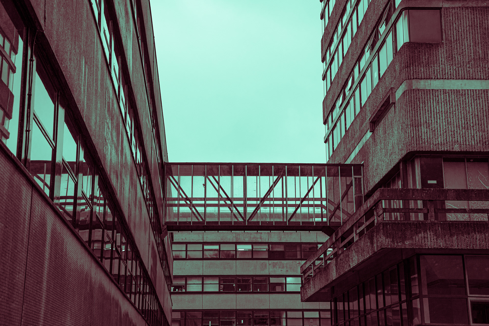 19. Bonus! Thought I would try some of this split toning - would be interested to know what you think?!