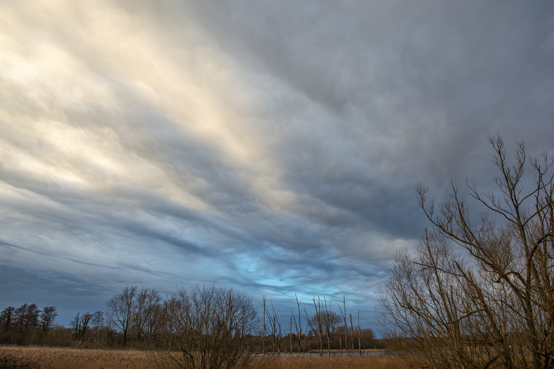 54/365 There was a lovely sky over Fishlake Meadows on my way back from snooping around the industrial estate.