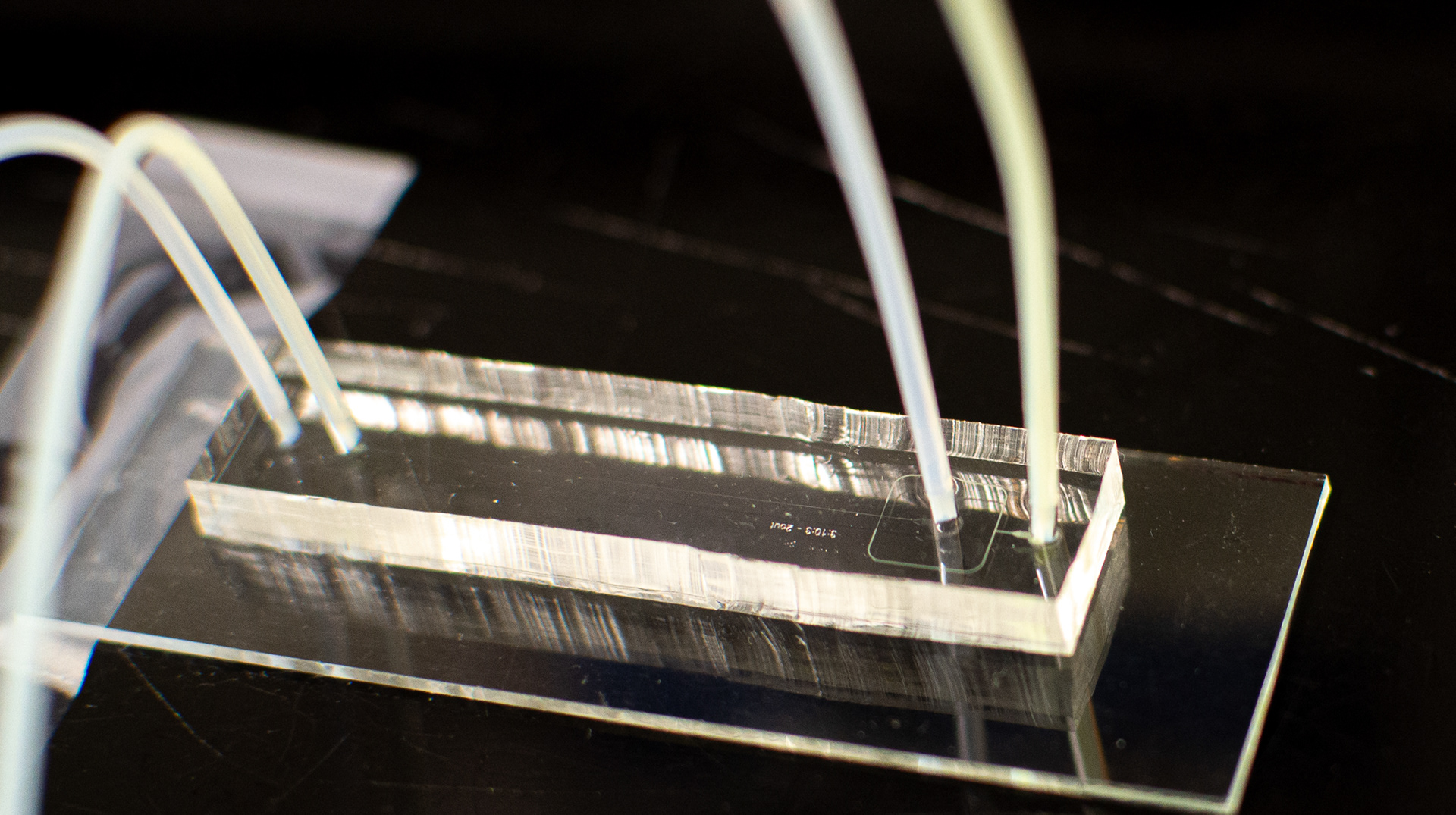 217/365 Fluidics.