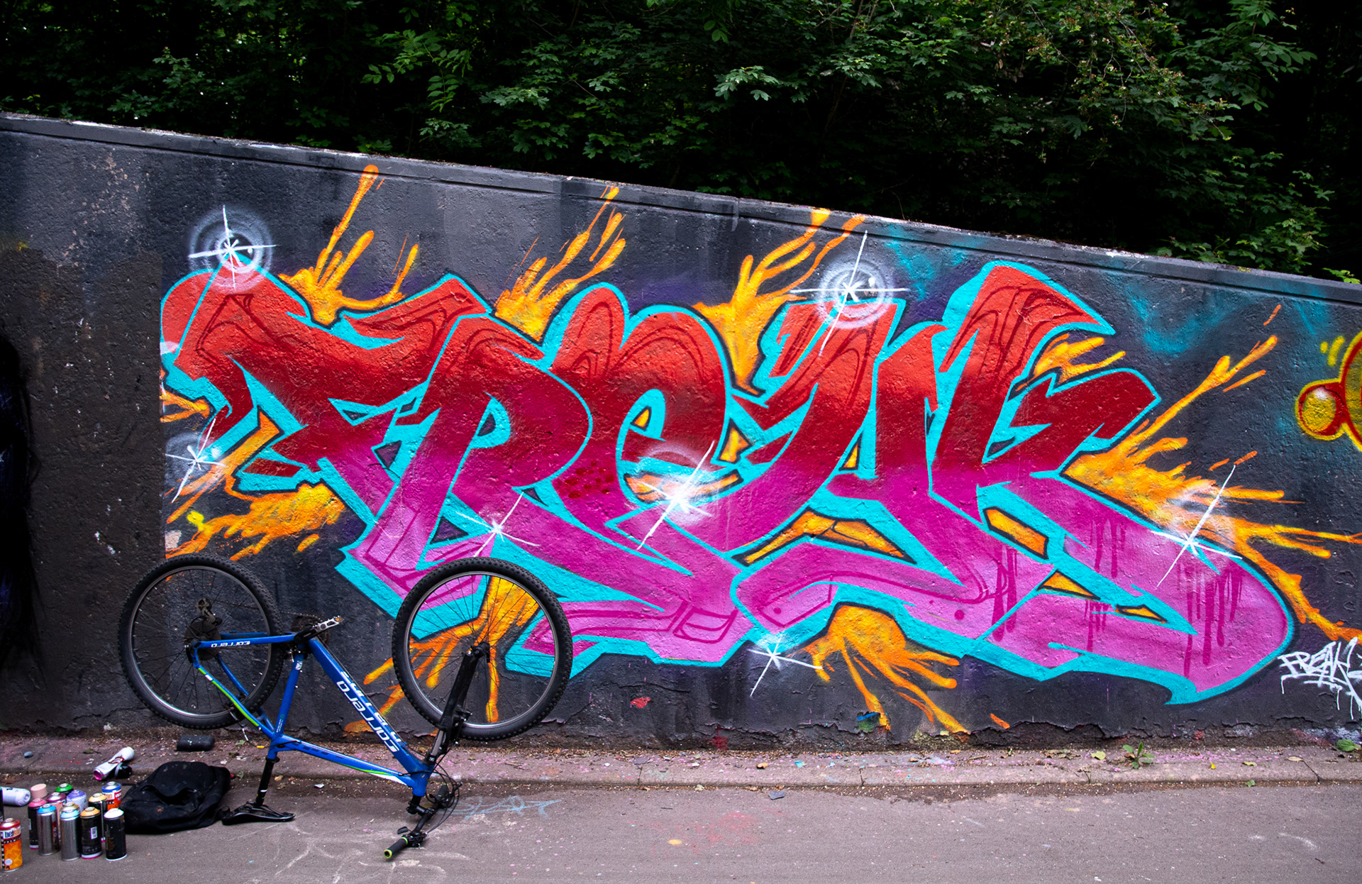 148/365 Common Graffiti.